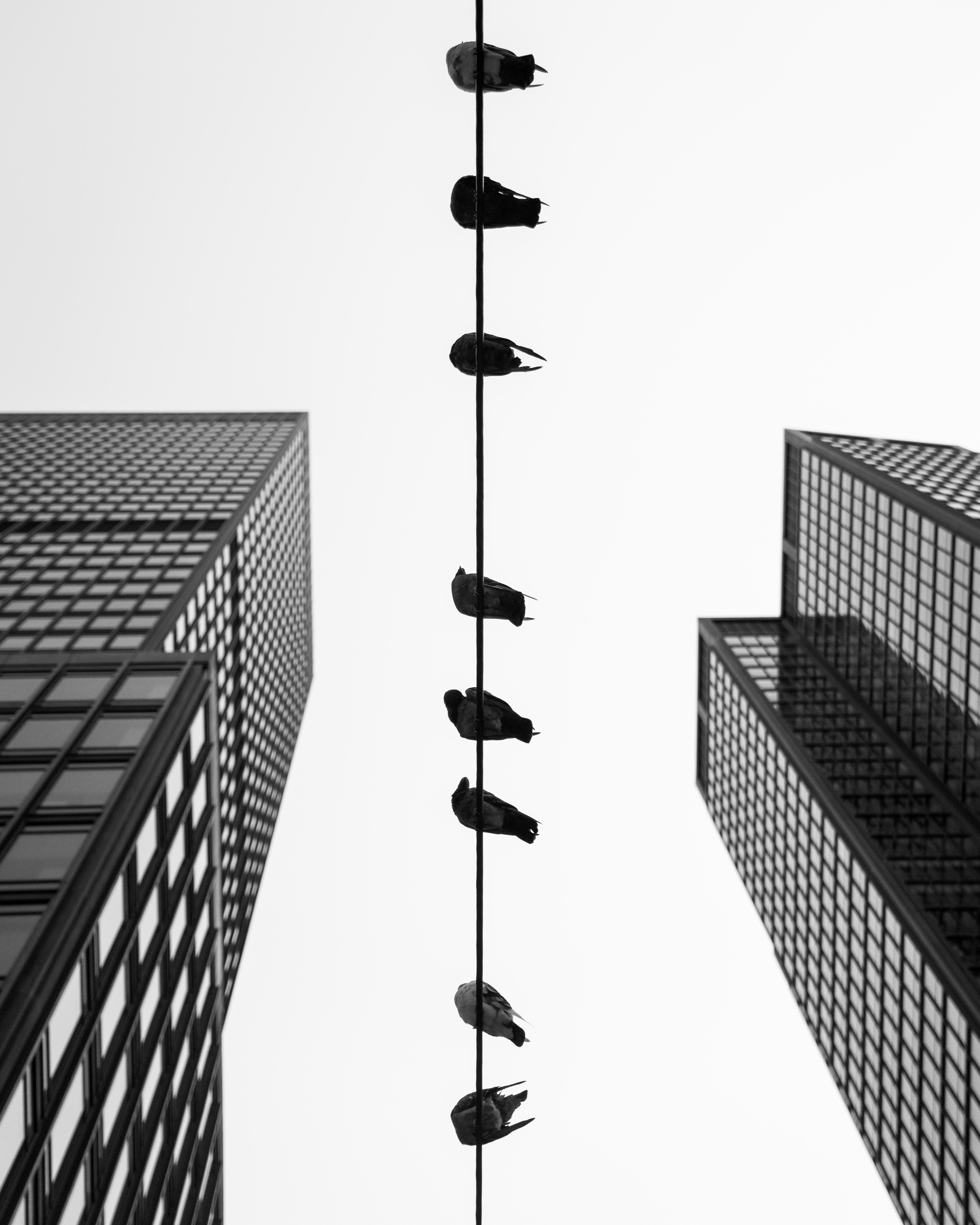 On the Wire  #3/20