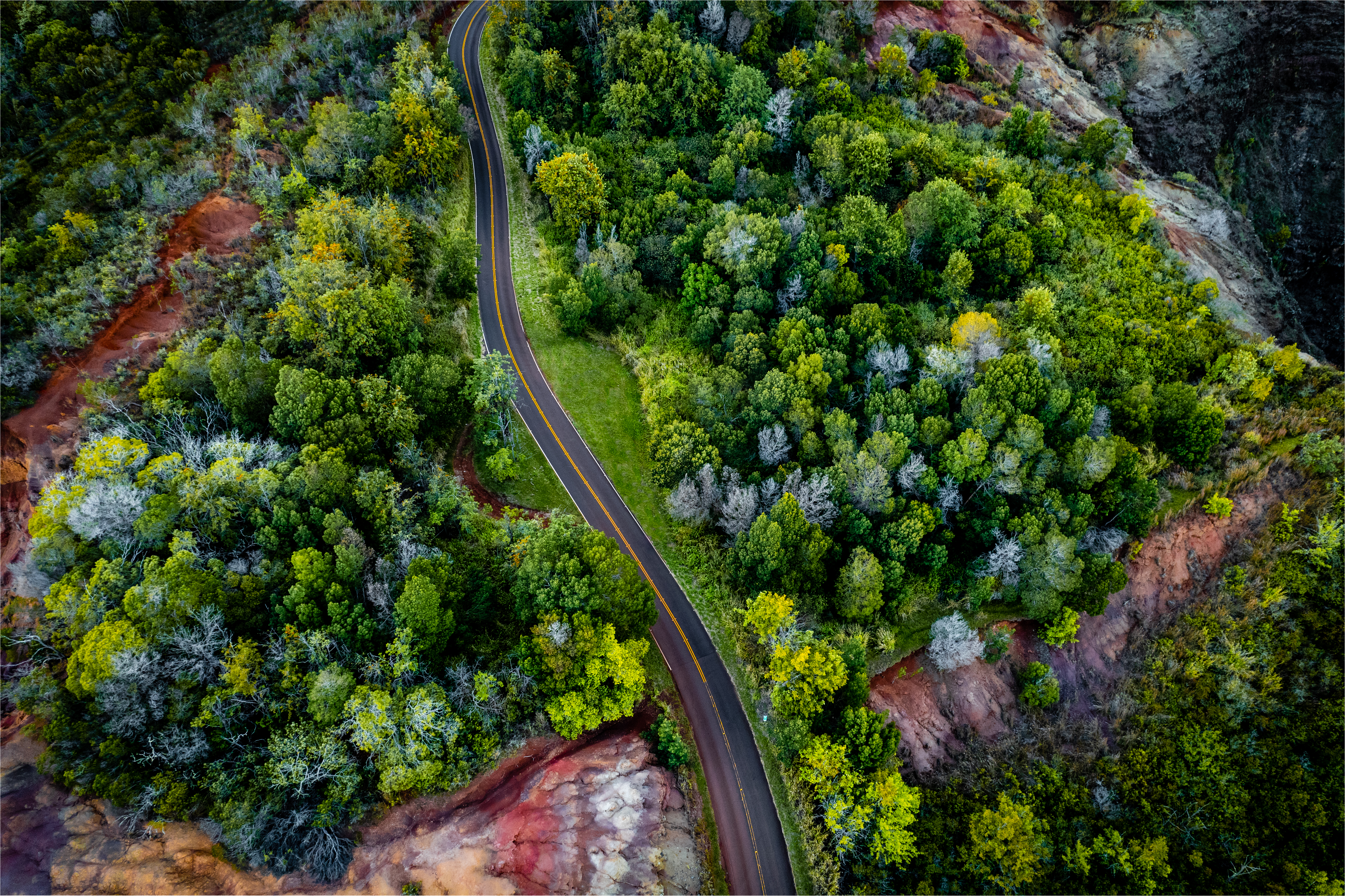 Where the Road Takes Us