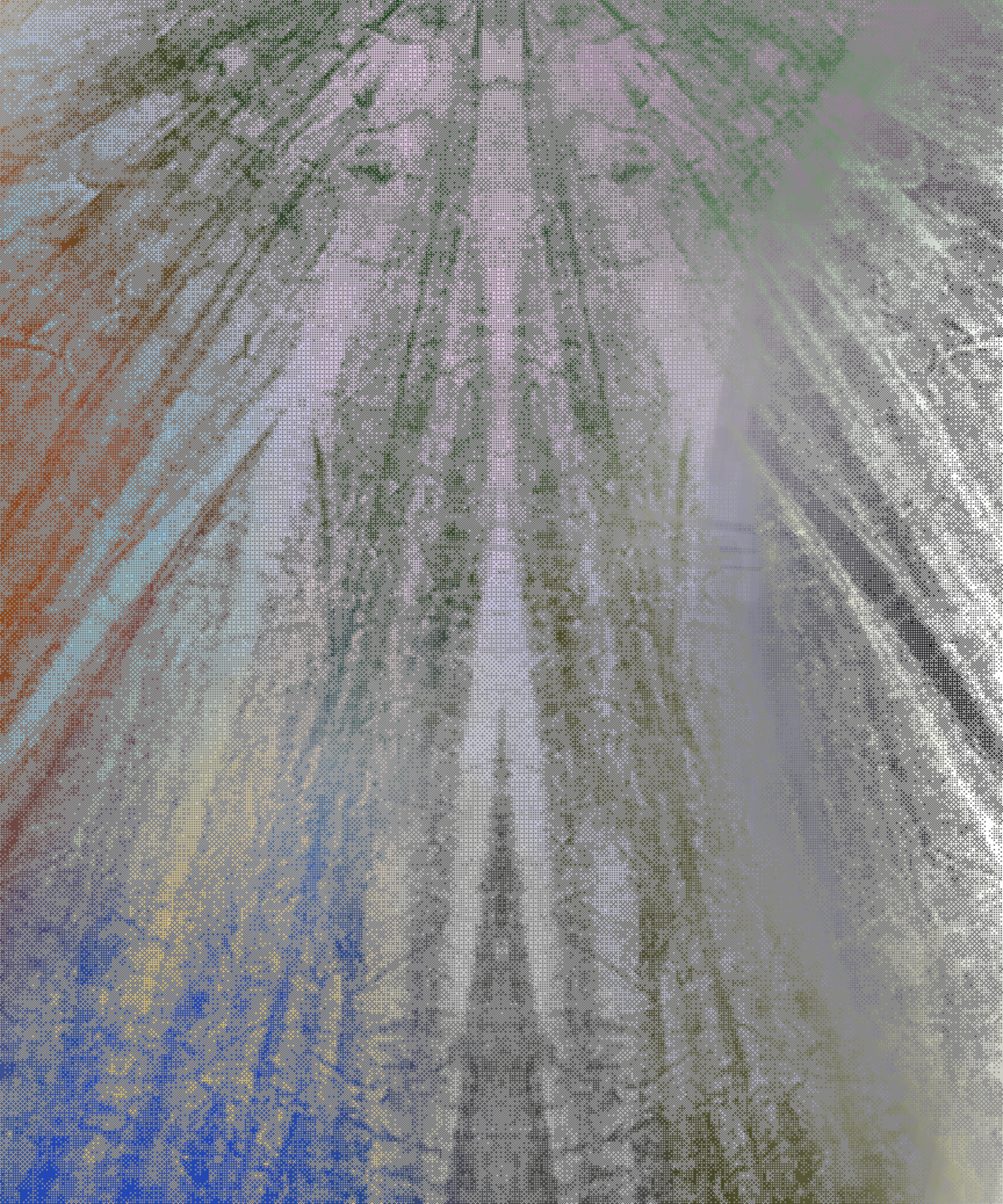 the spring begins with the first rainstorm #55