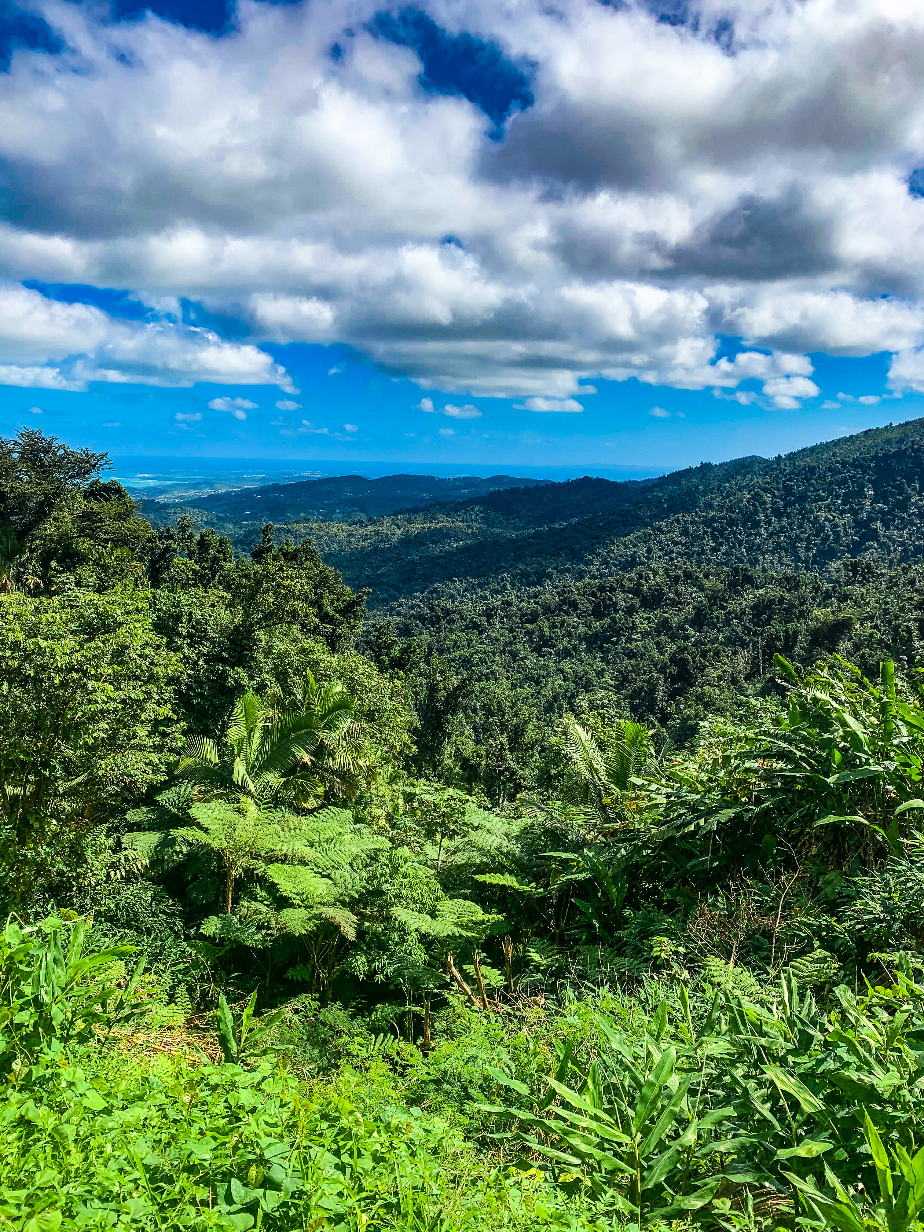 From High Up you can really C