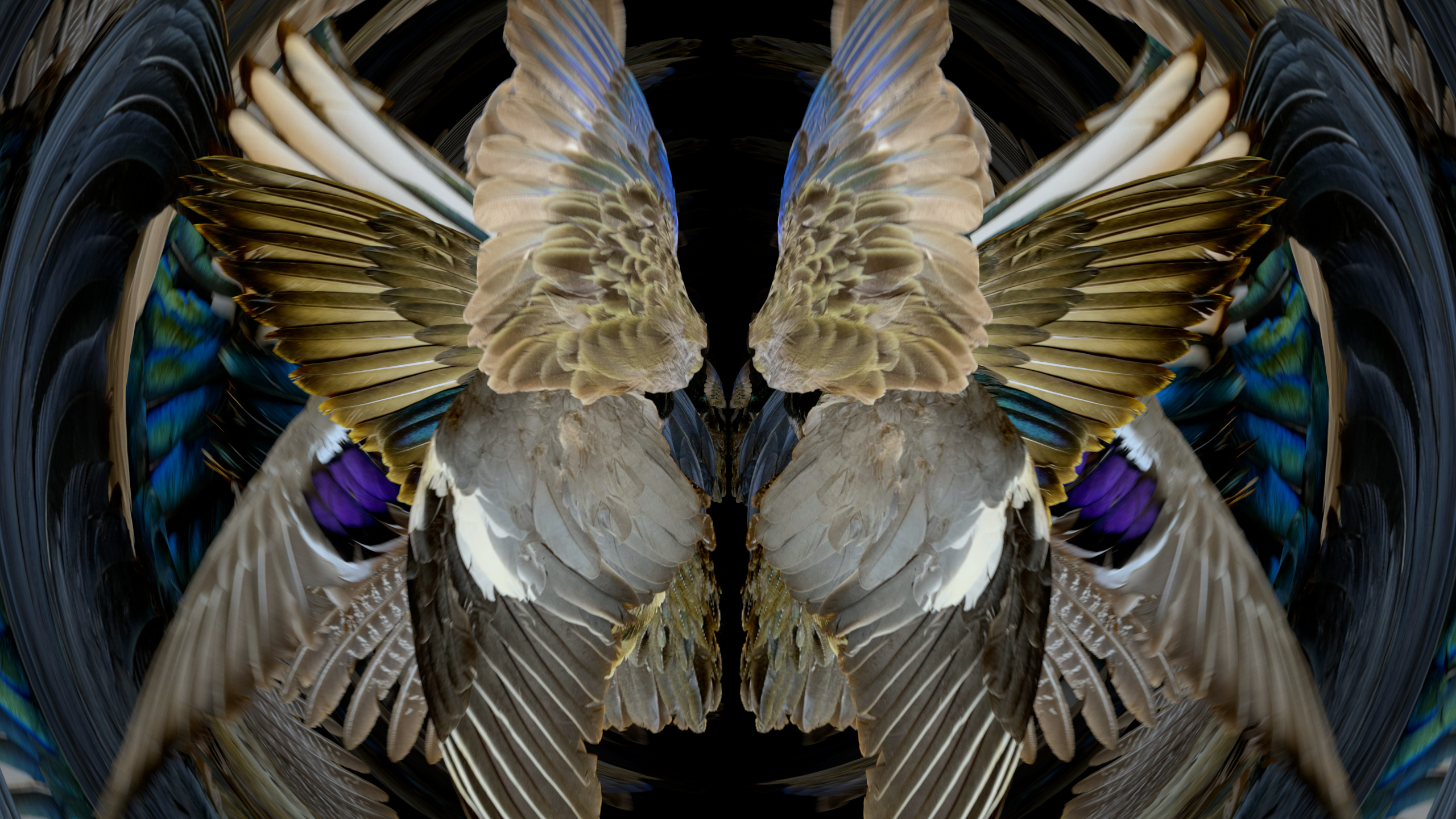 Fuga delle Sirene VI