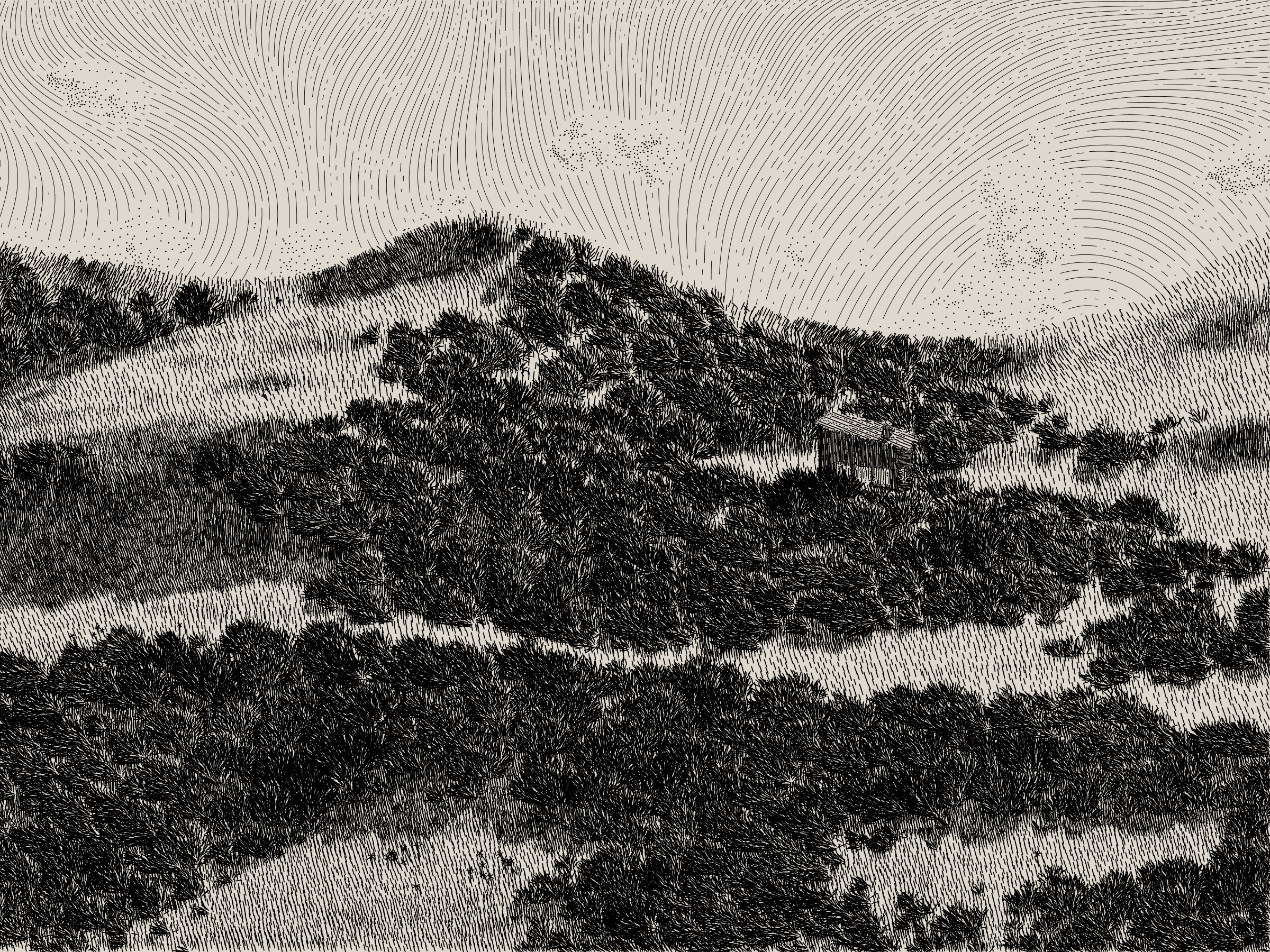 Life and Love and Nothing #180