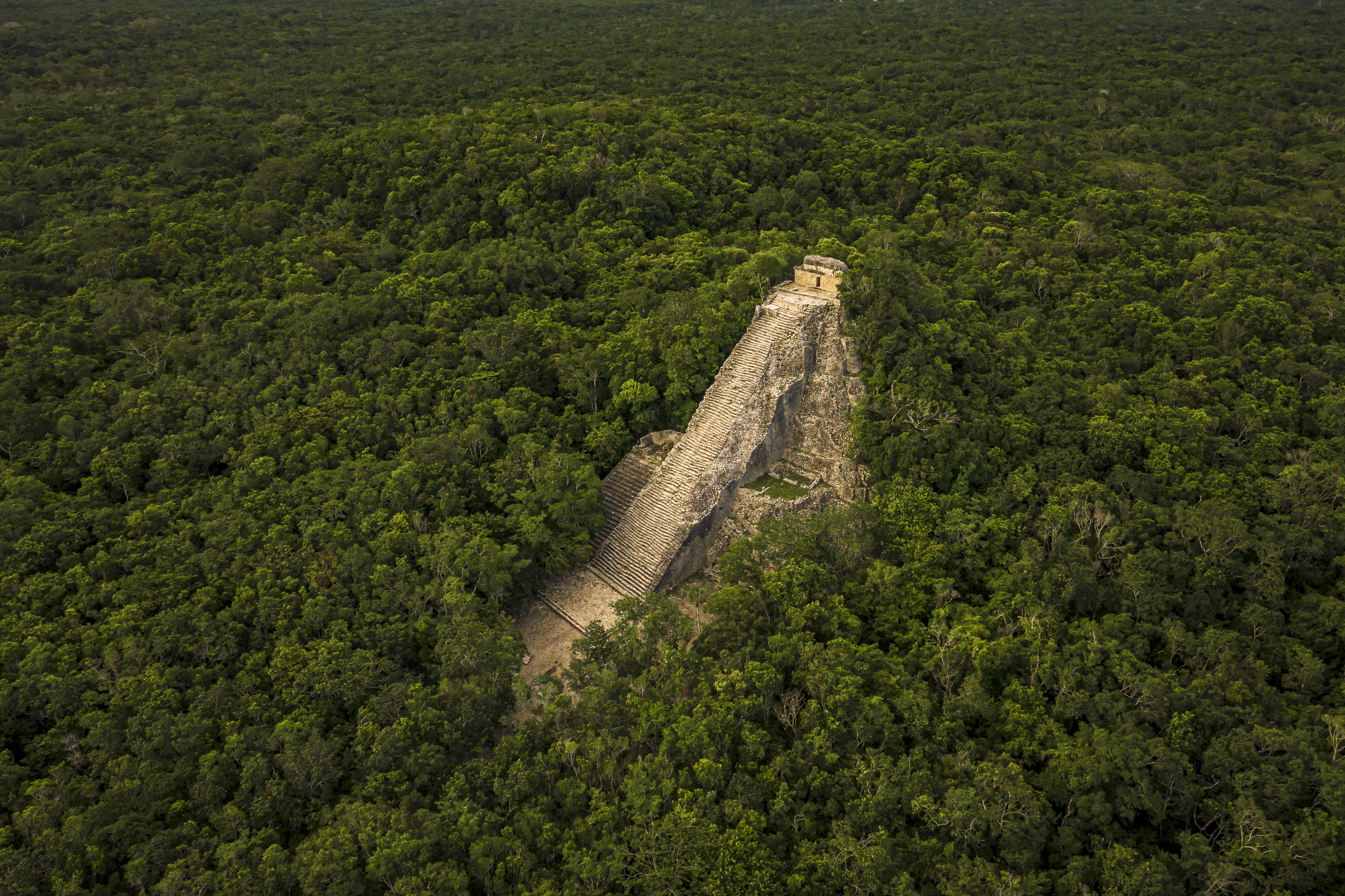 Cobá