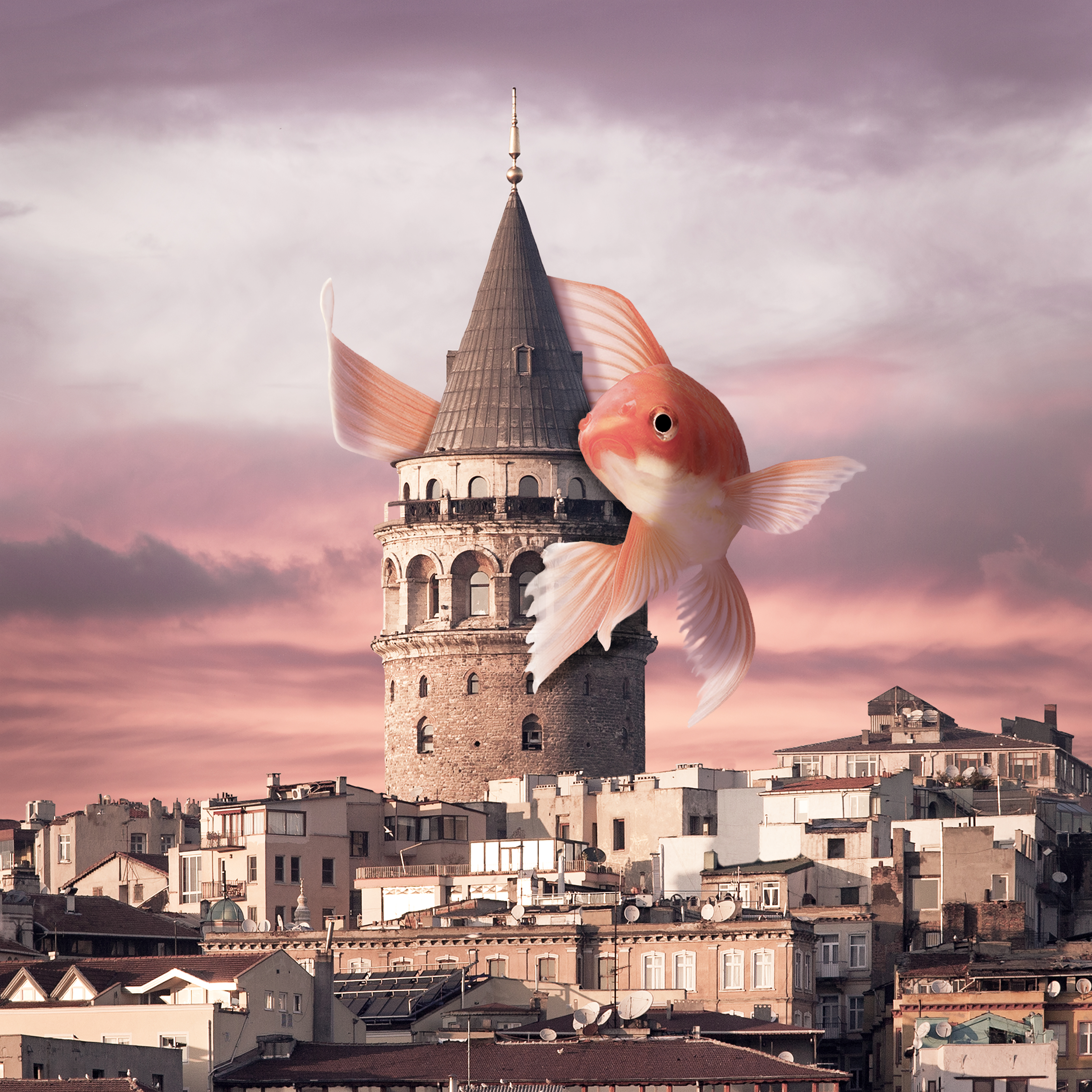 #07 Galata Tower