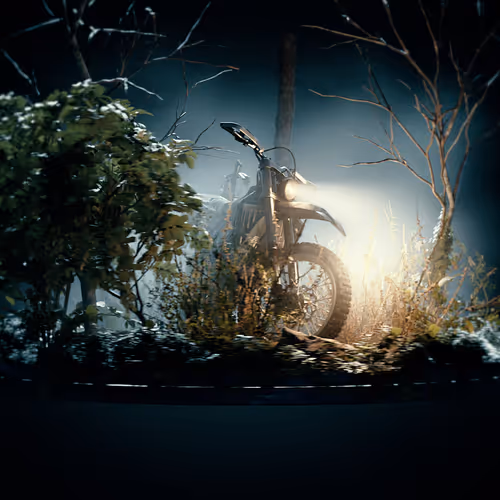 Forest Night Bike