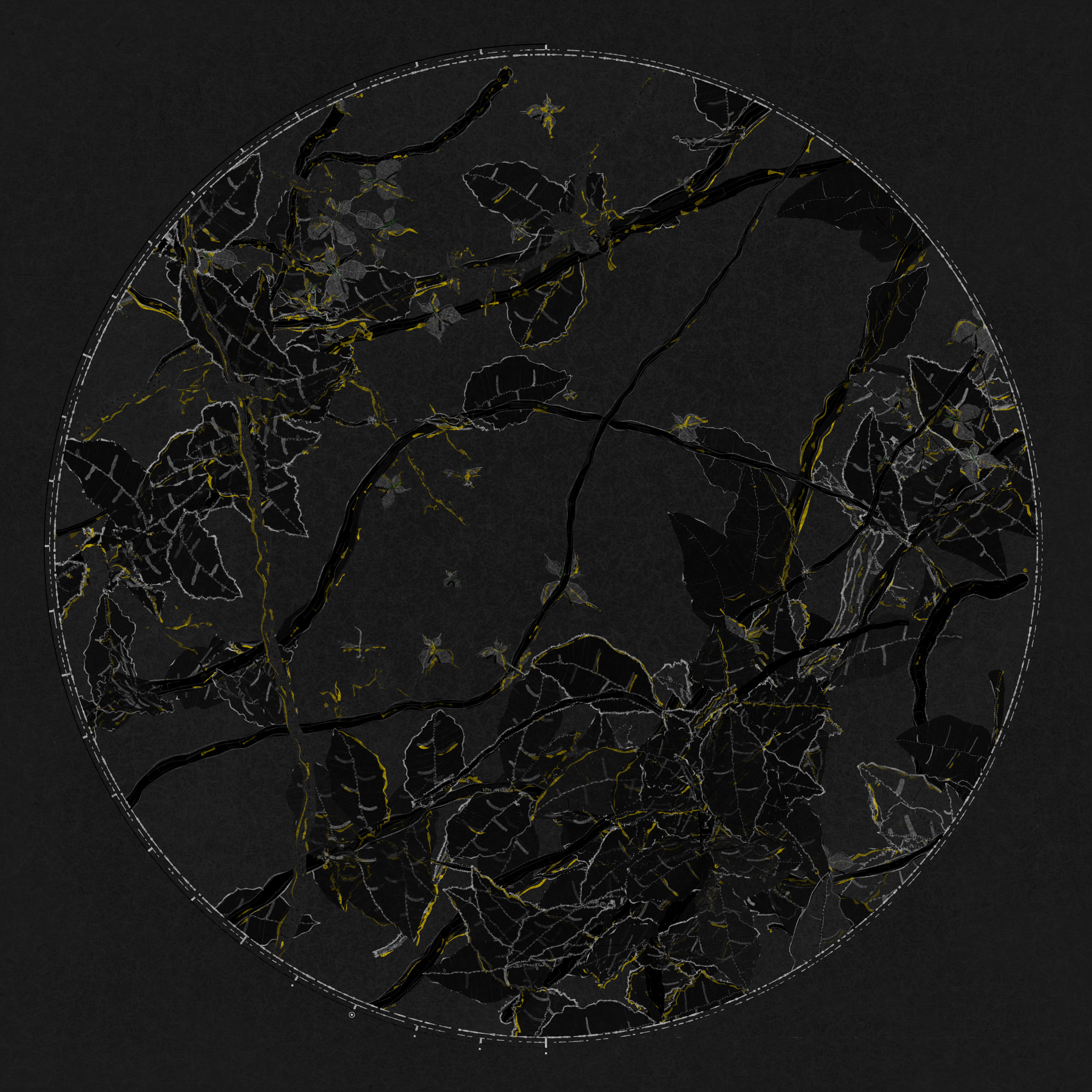 Polypaths | 植徑集 #456