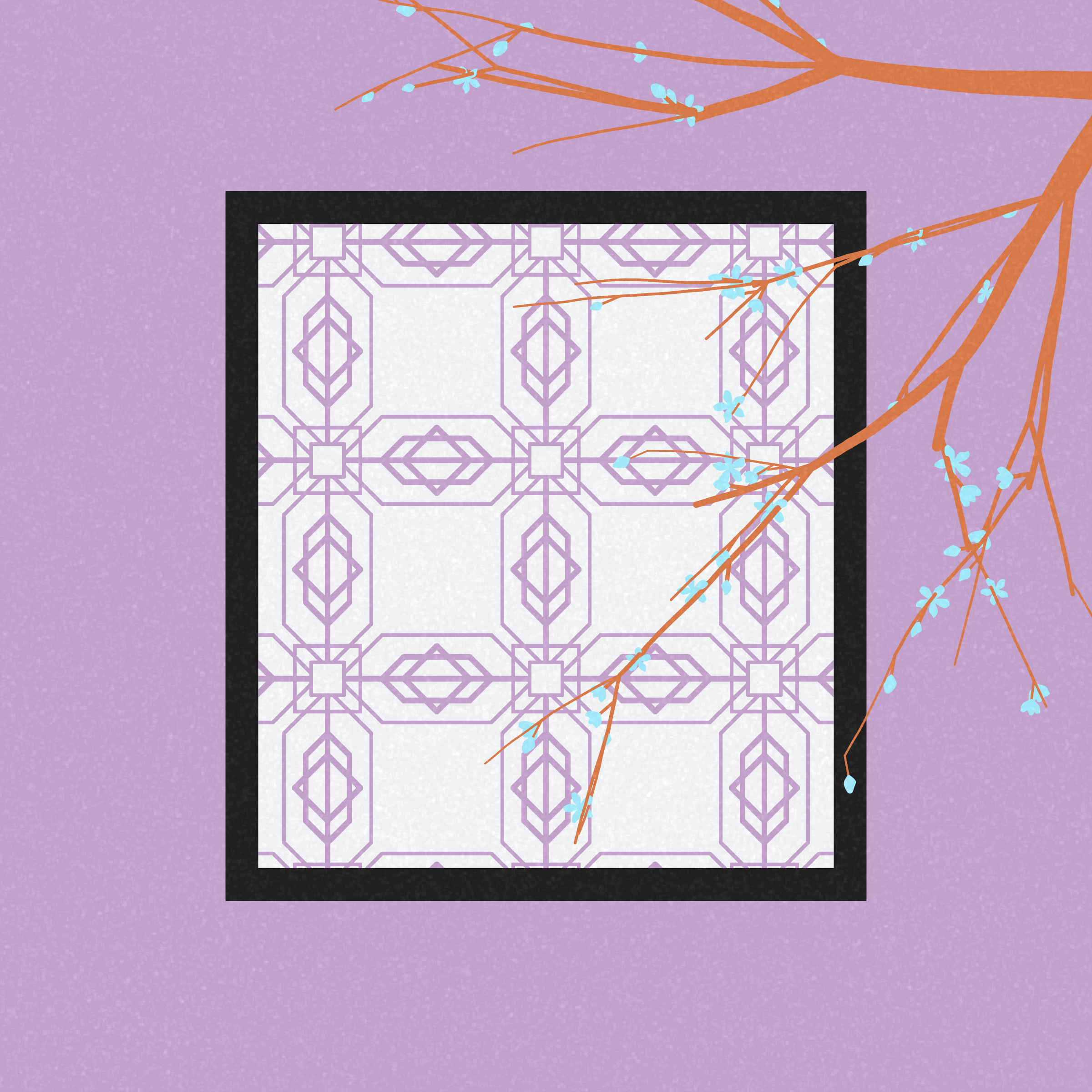 Through the Window #241