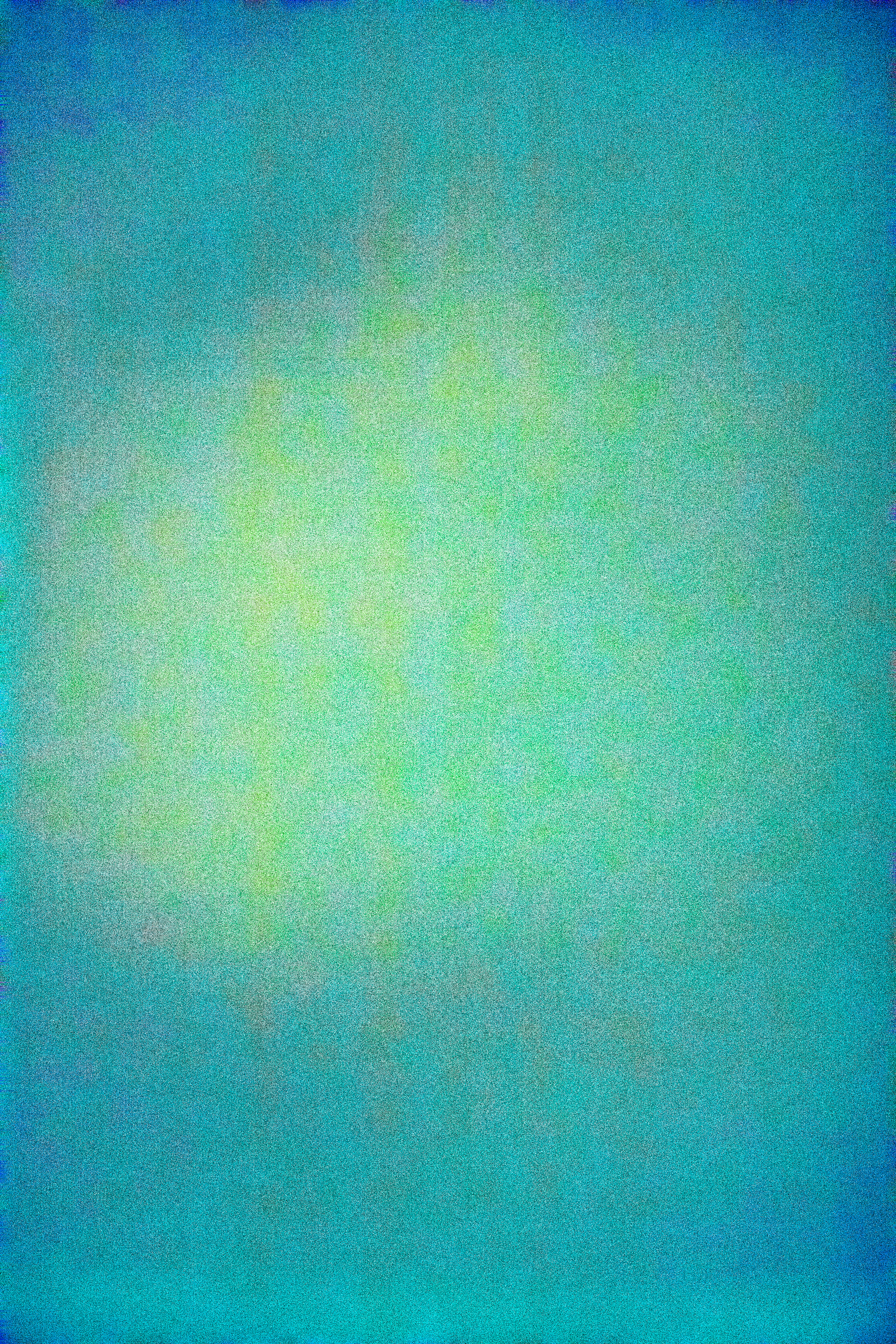SALT 86