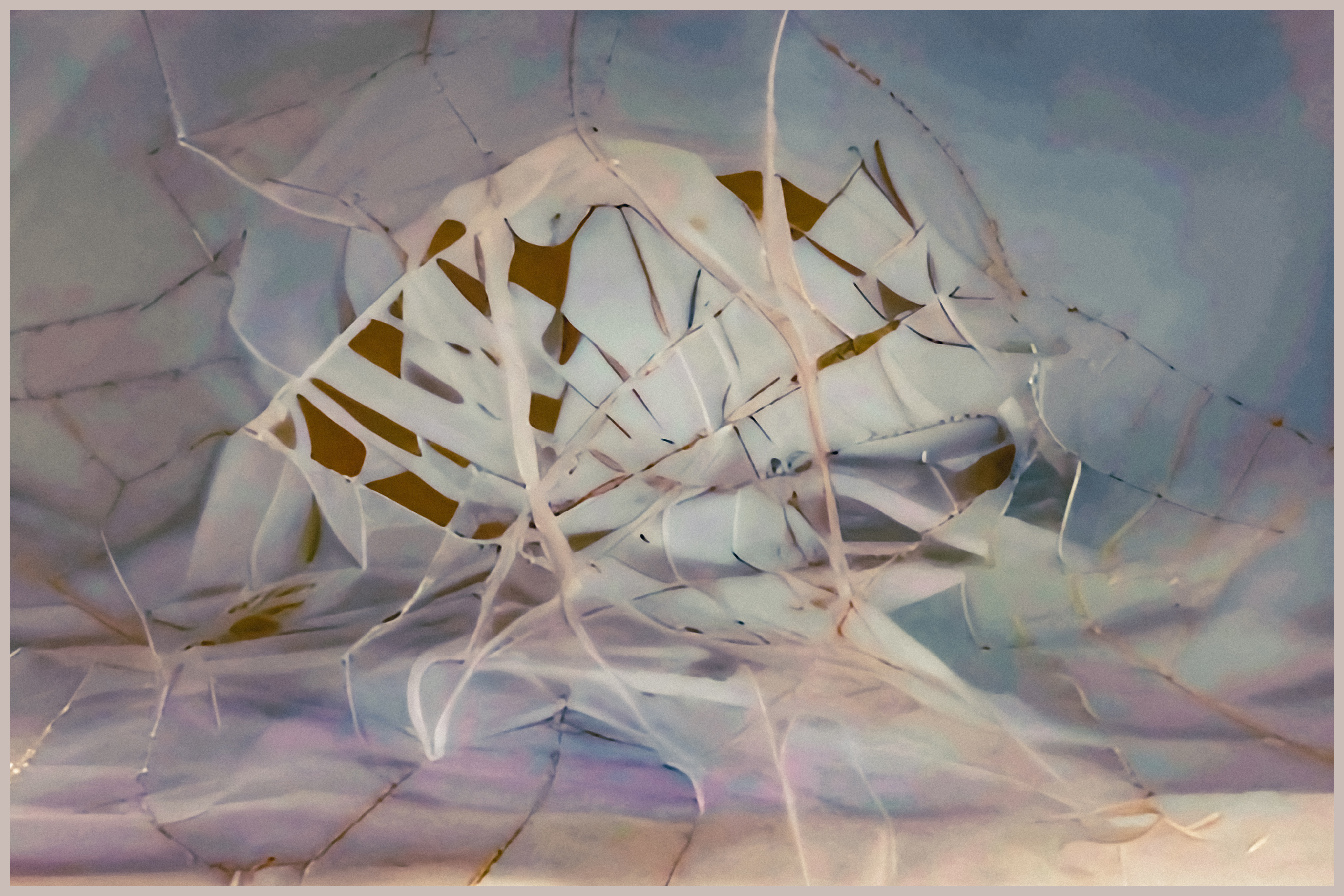 Our Singular Looking Glass