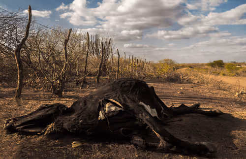 Strongest #2 - Slice of Decay