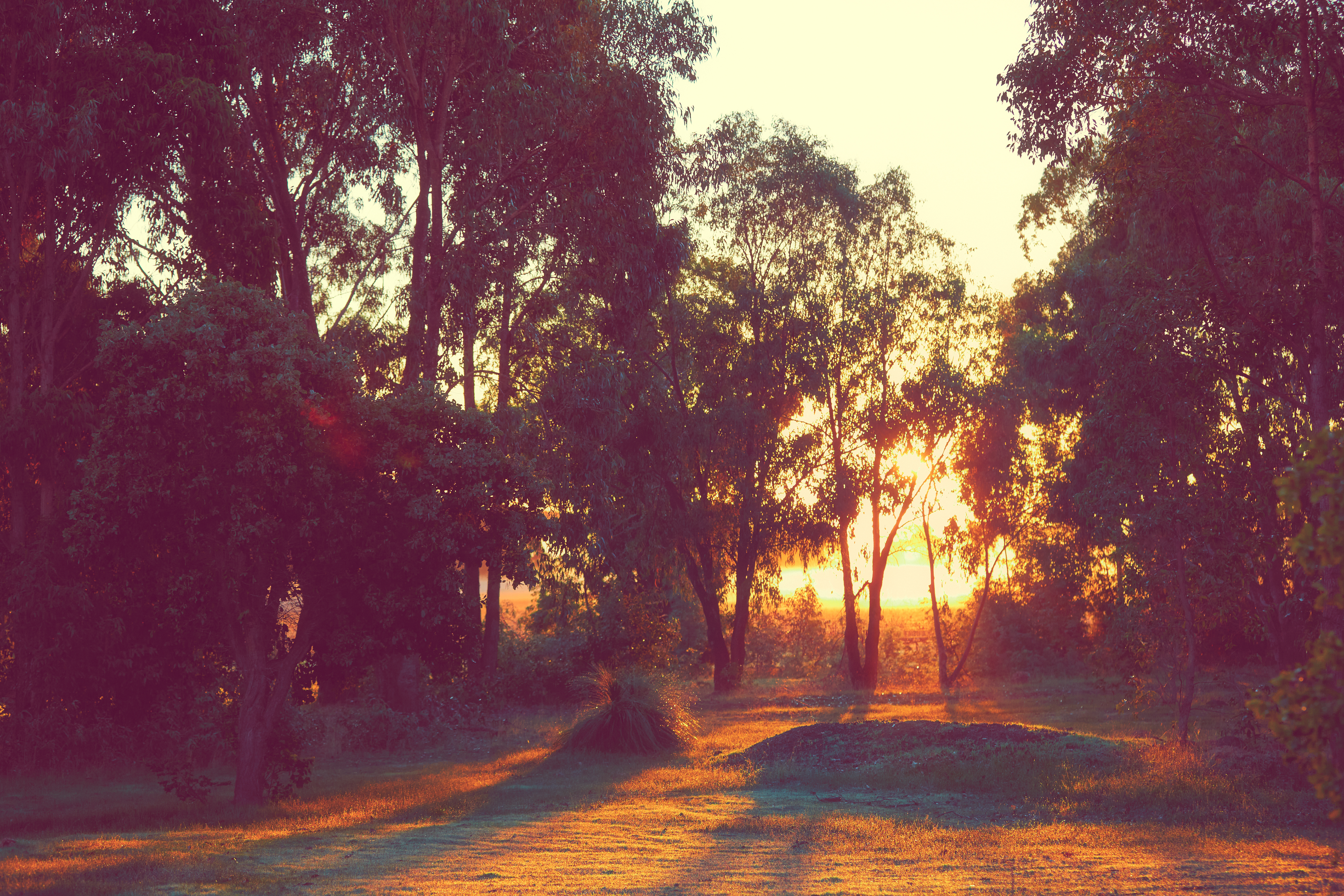 HOPE // RANDOMLY ACCESSED MEMORIES 01