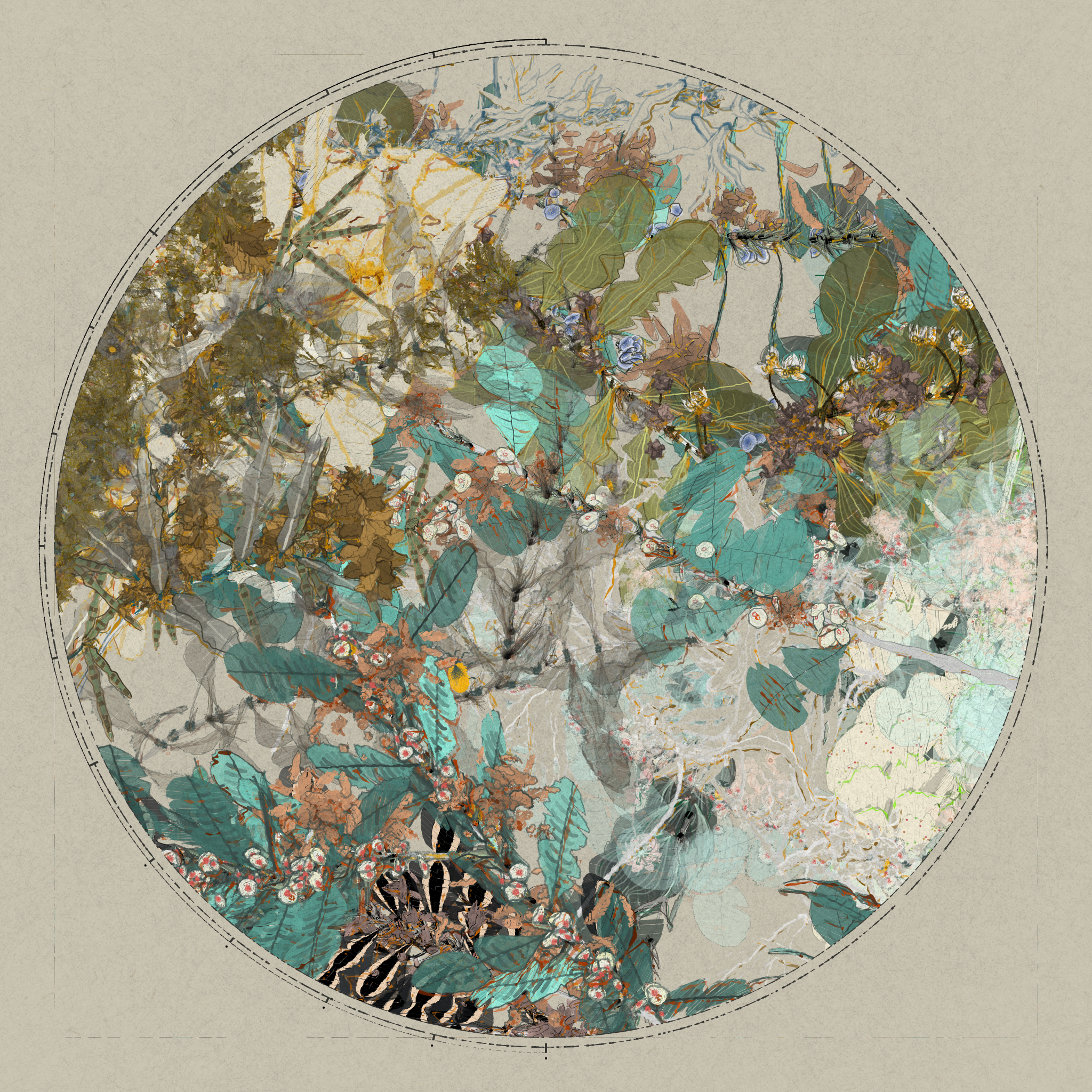 Polypaths | 植徑集 #206