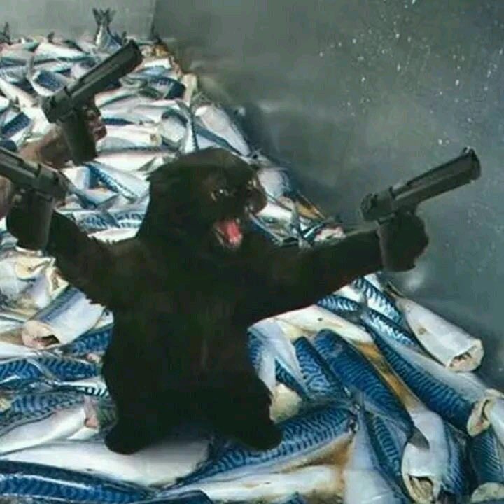 majirespect.eth Ethereum Name Service (ENS and .eth domain) PFP