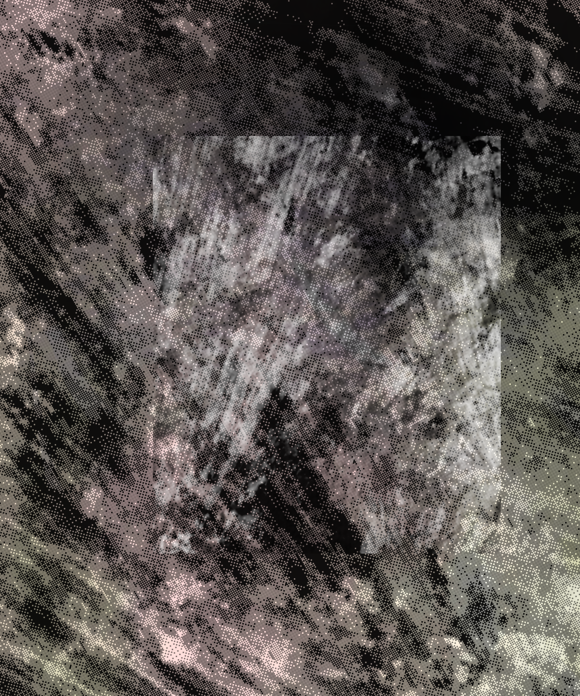 the spring begins with the first rainstorm #52