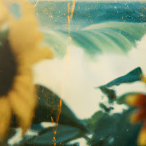 Tsunflower Chaos #74