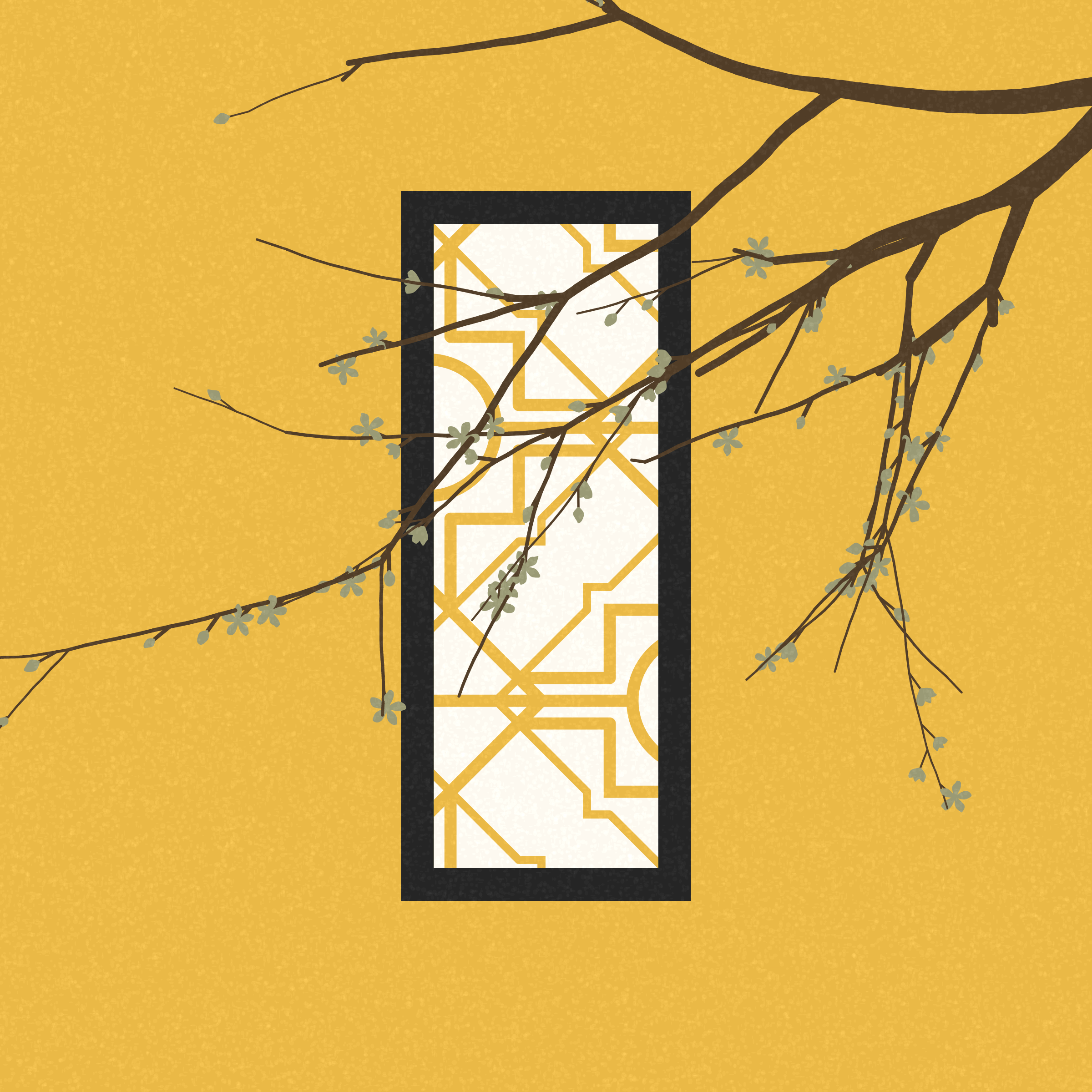 Through the Window #491