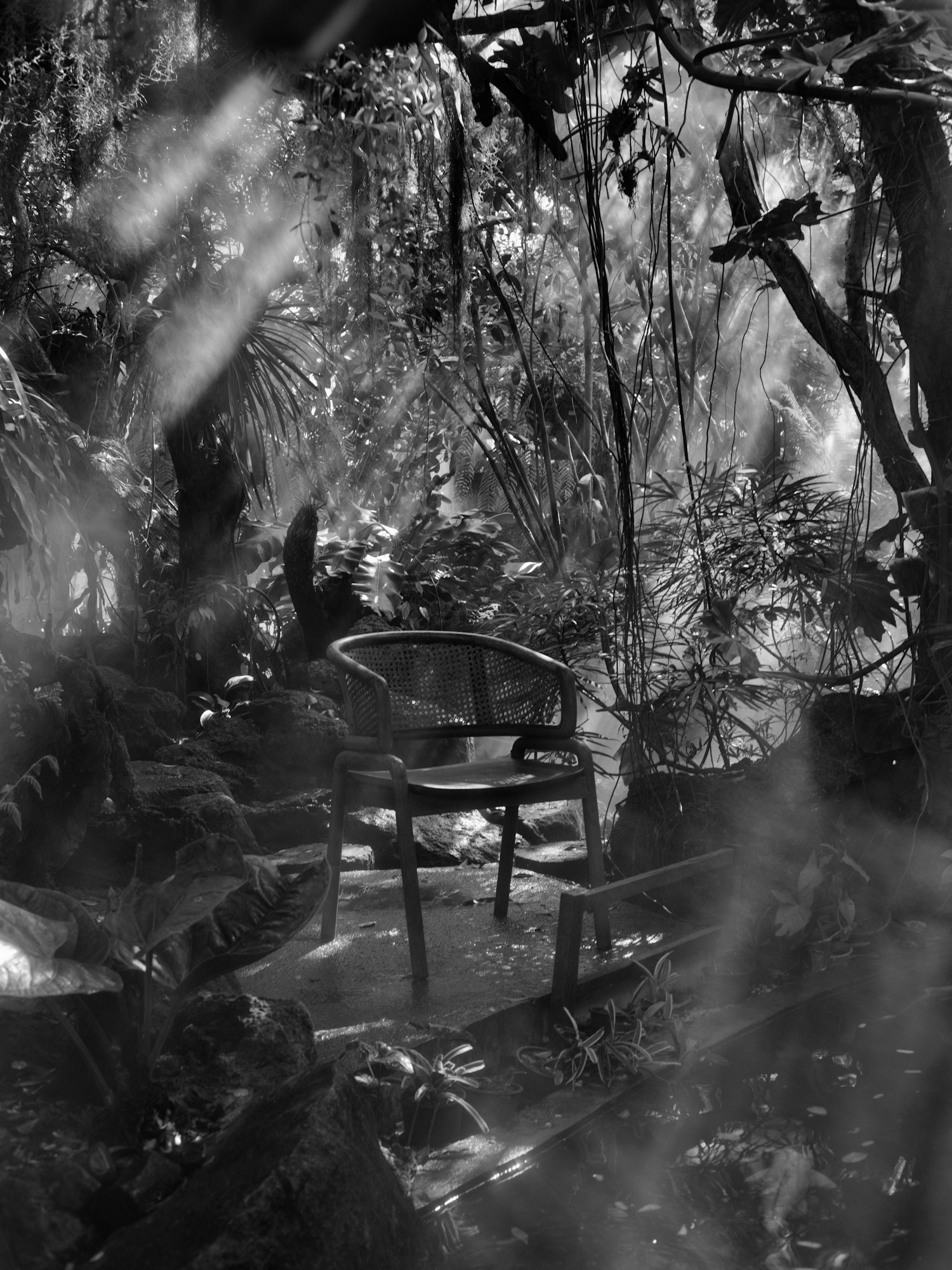 In the silence of a forest, you can hear your own heartbeat.