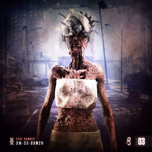 Stage 03: DW-S3-B8M2H