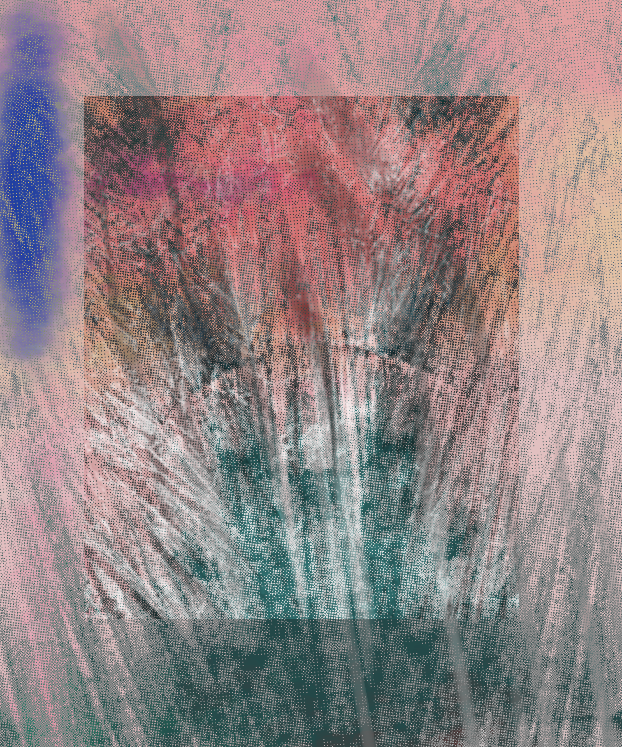 the spring begins with the first rainstorm #26