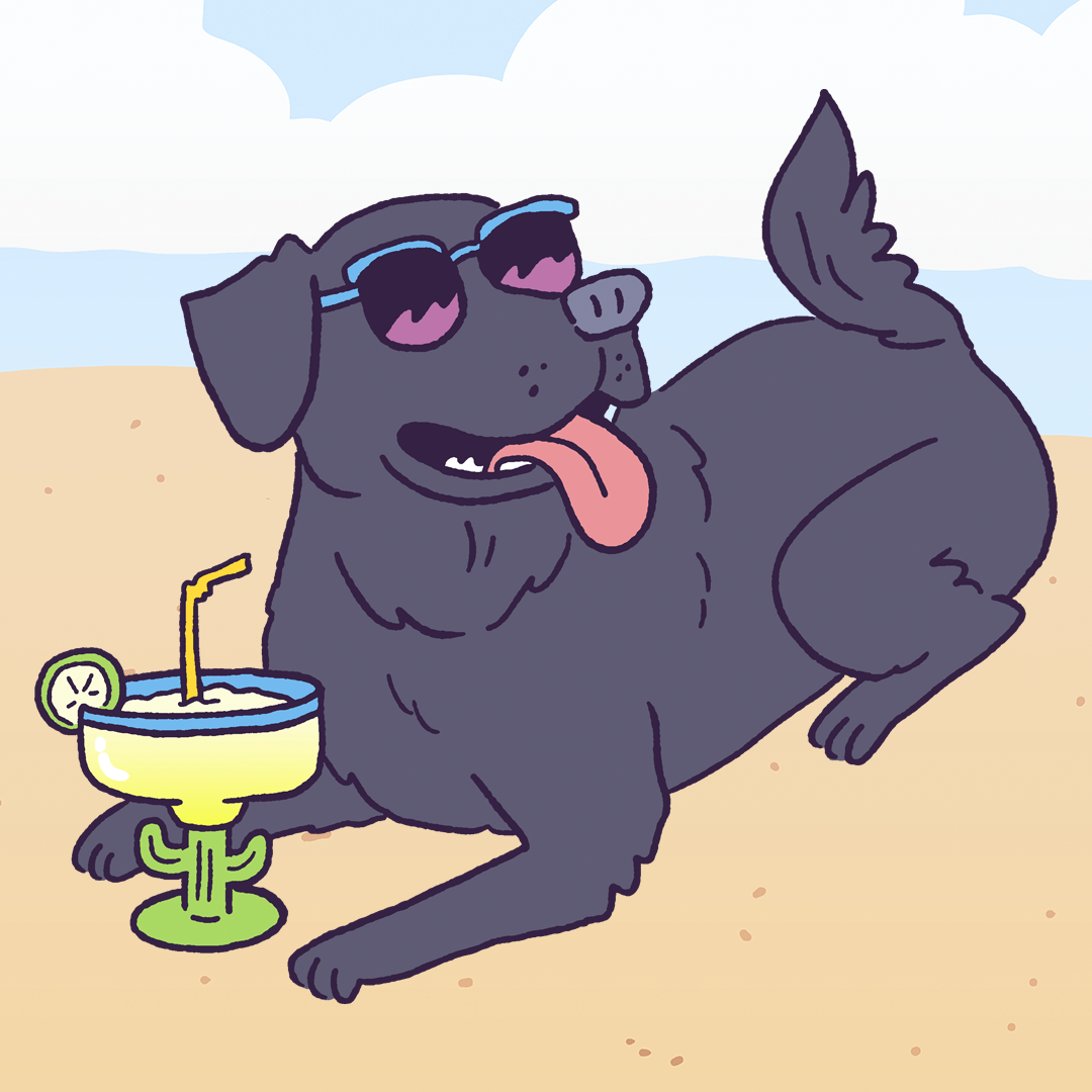 Labrador Retriever #475