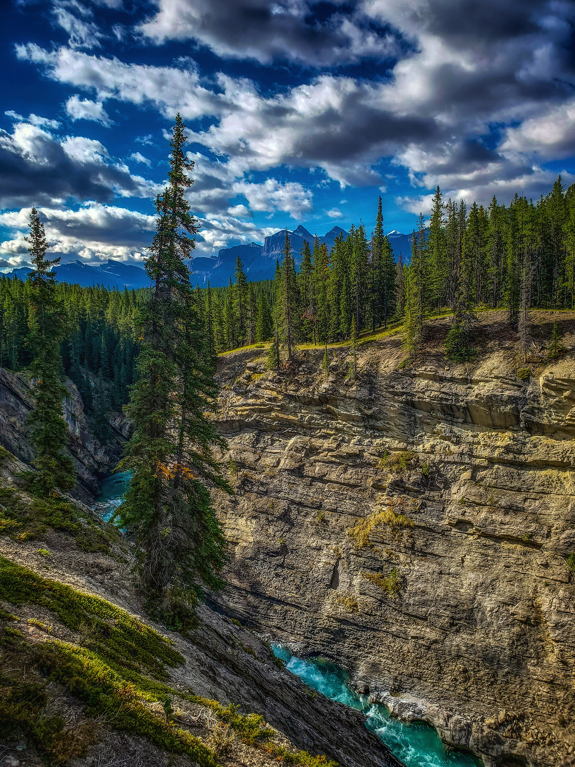 CS Community Collection #551