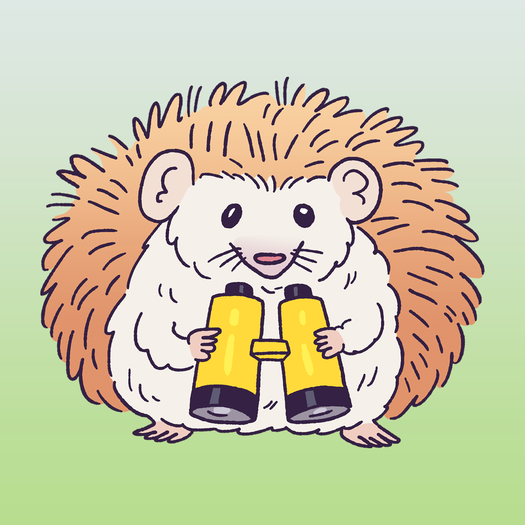Binocular Hedgehog #1847