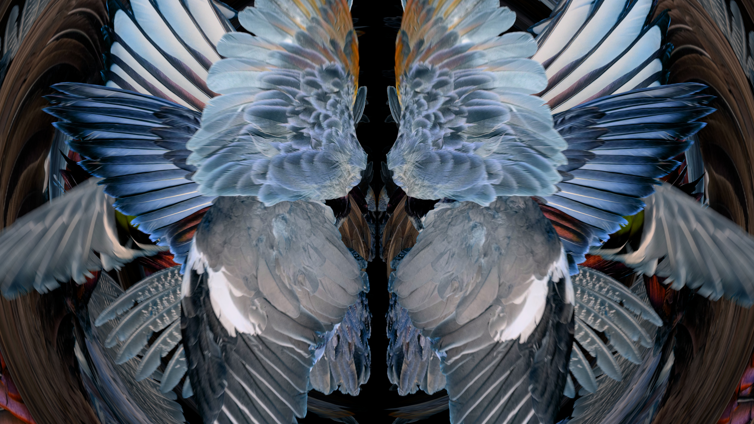 Fuga delle Sirene XXVII