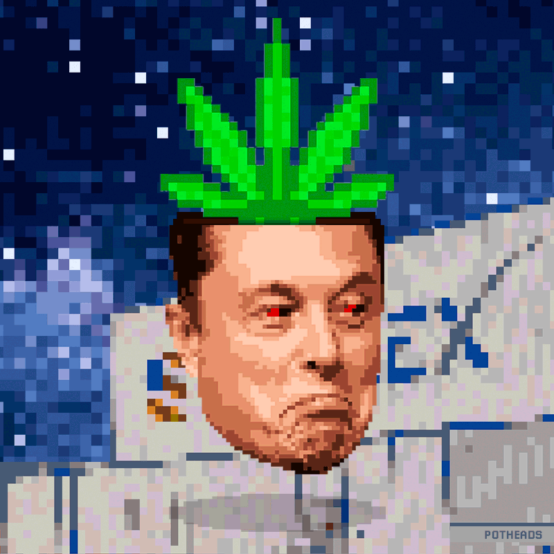 PotHead Elon #01