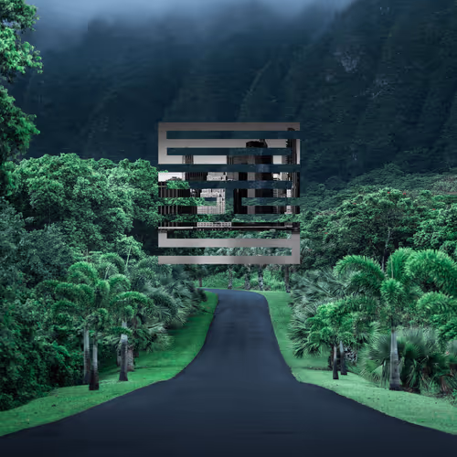 6529 Hawaii NYC fusion