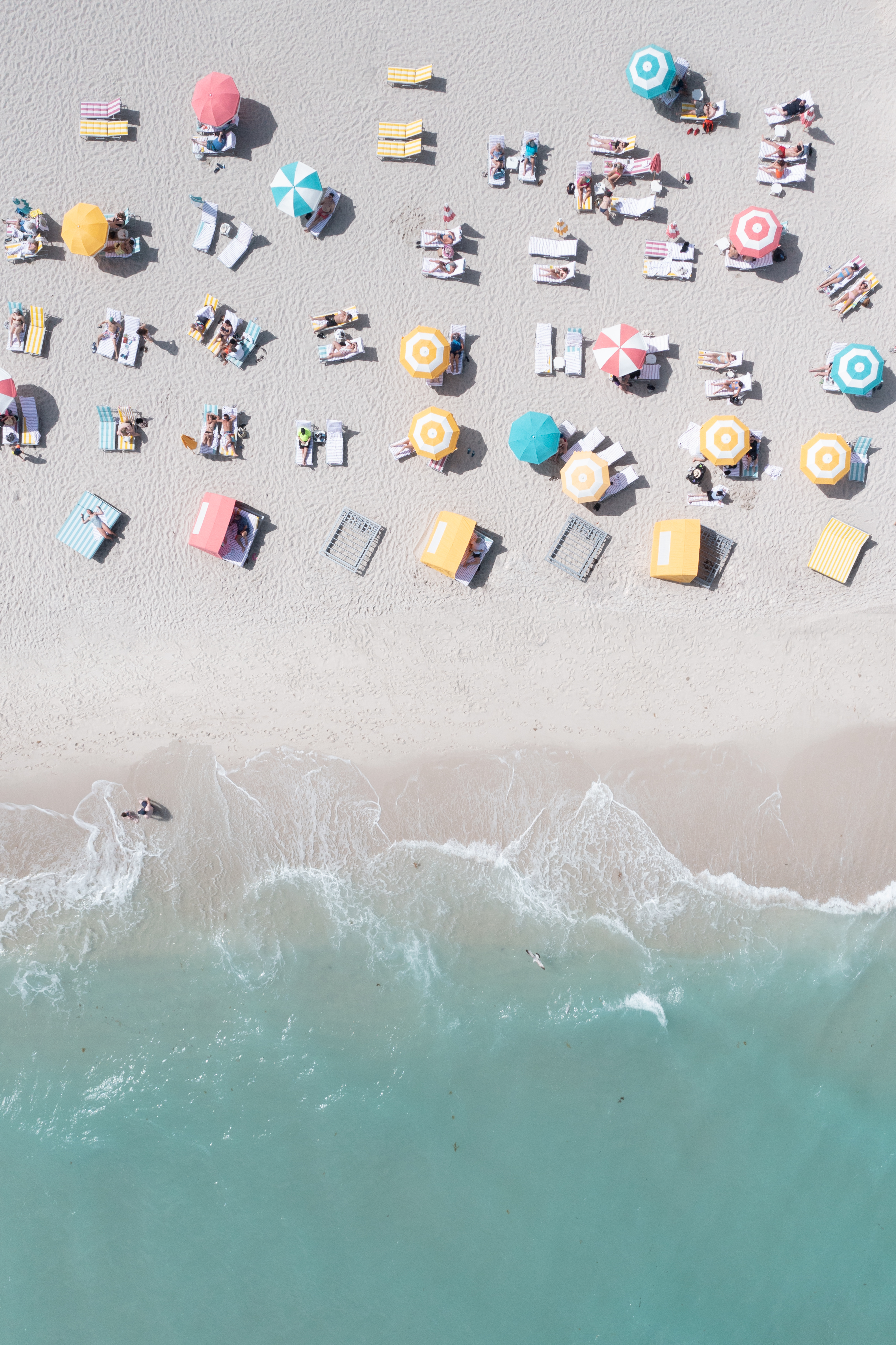 Smell the tropical sunscreen #12/22