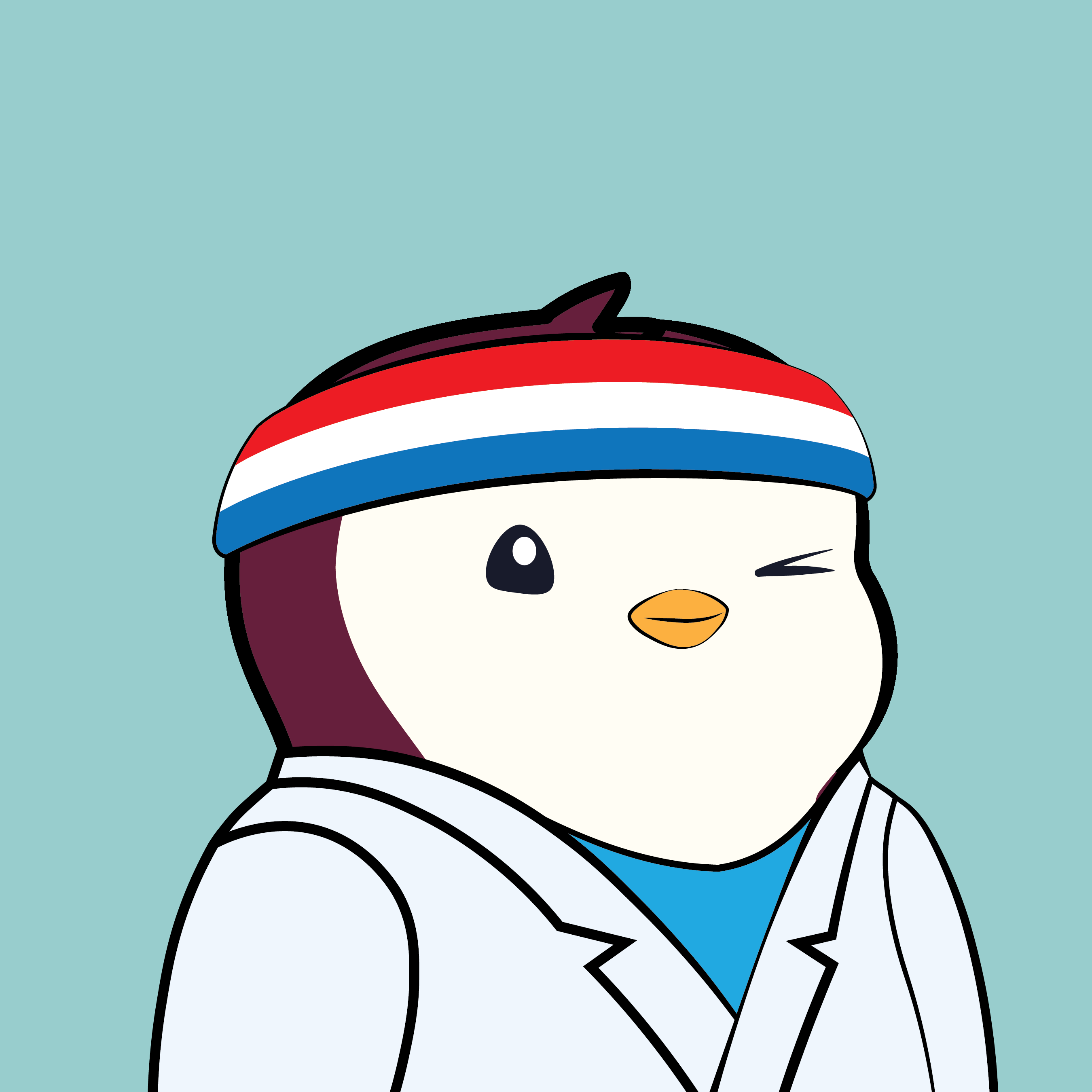 Pudgy Penguin #886