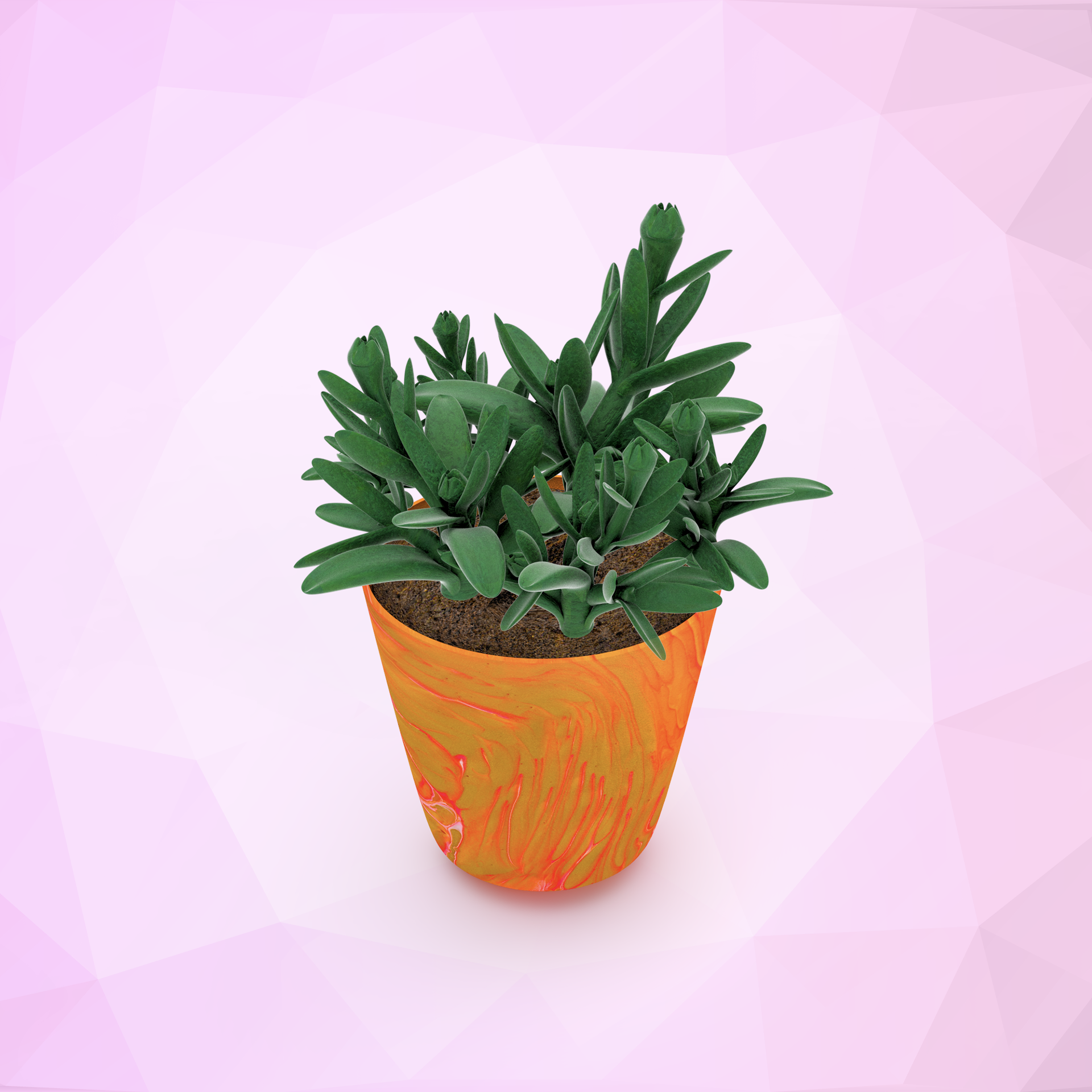 ∆FLORA #525