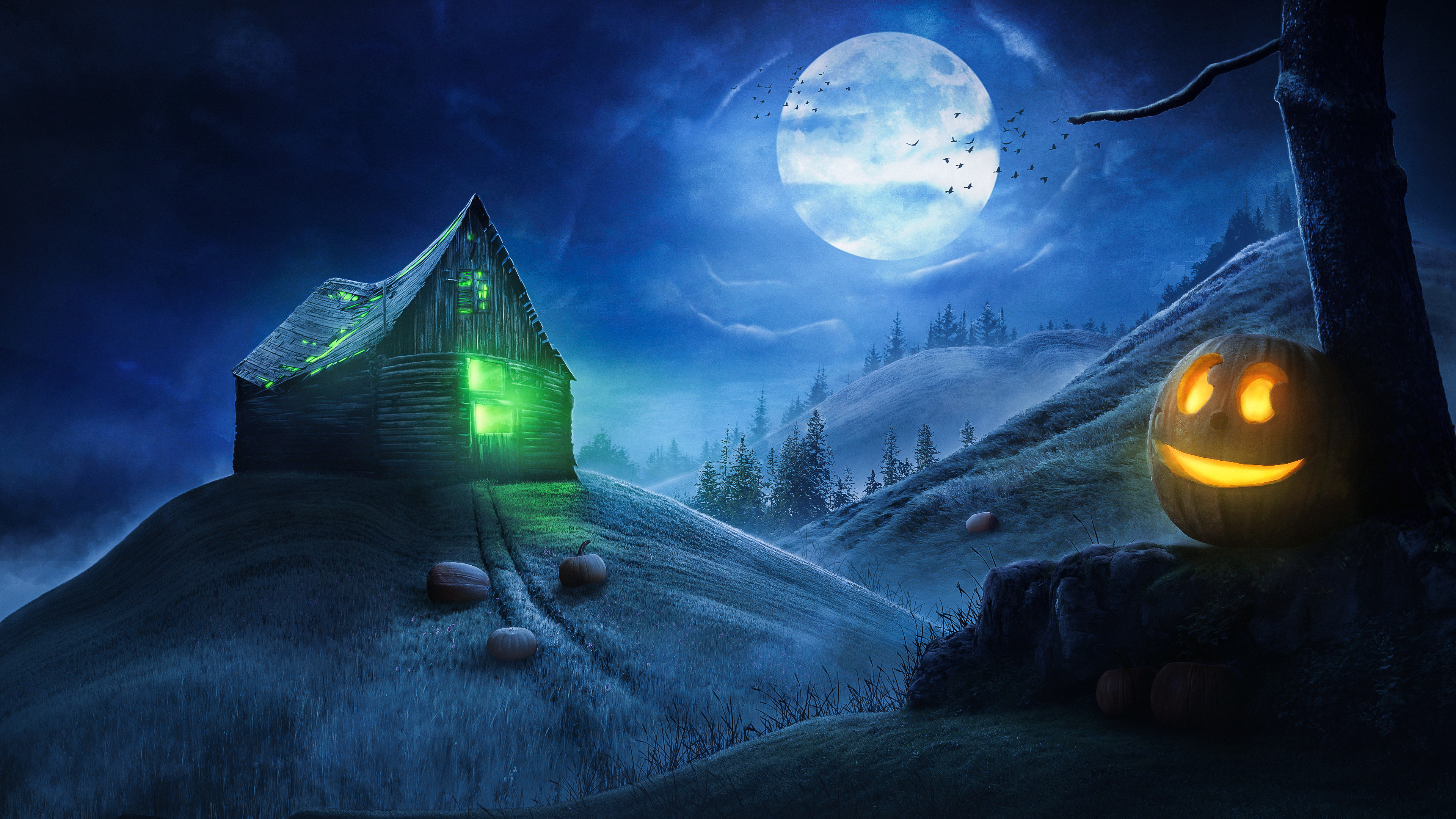 The Mysterious Hut 26/200