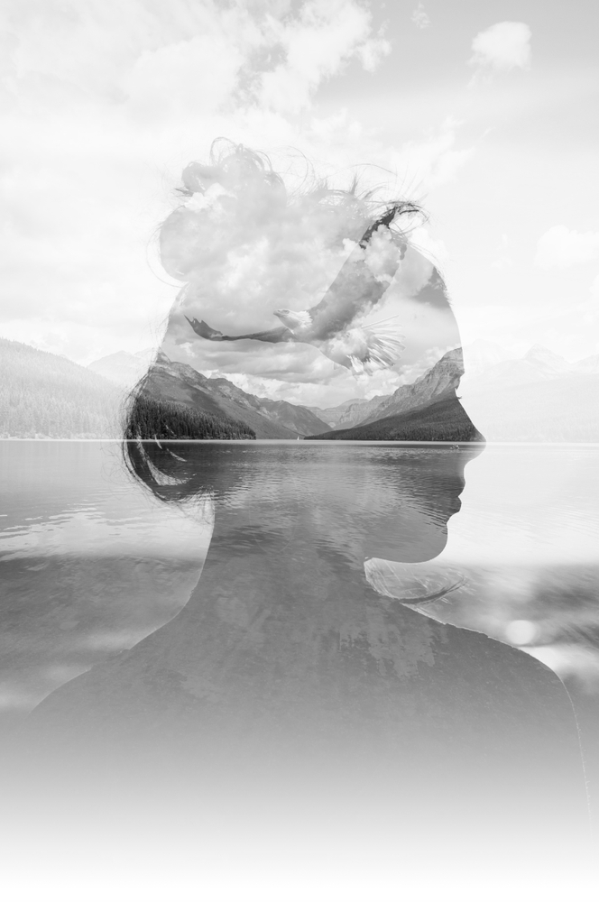 Dreams