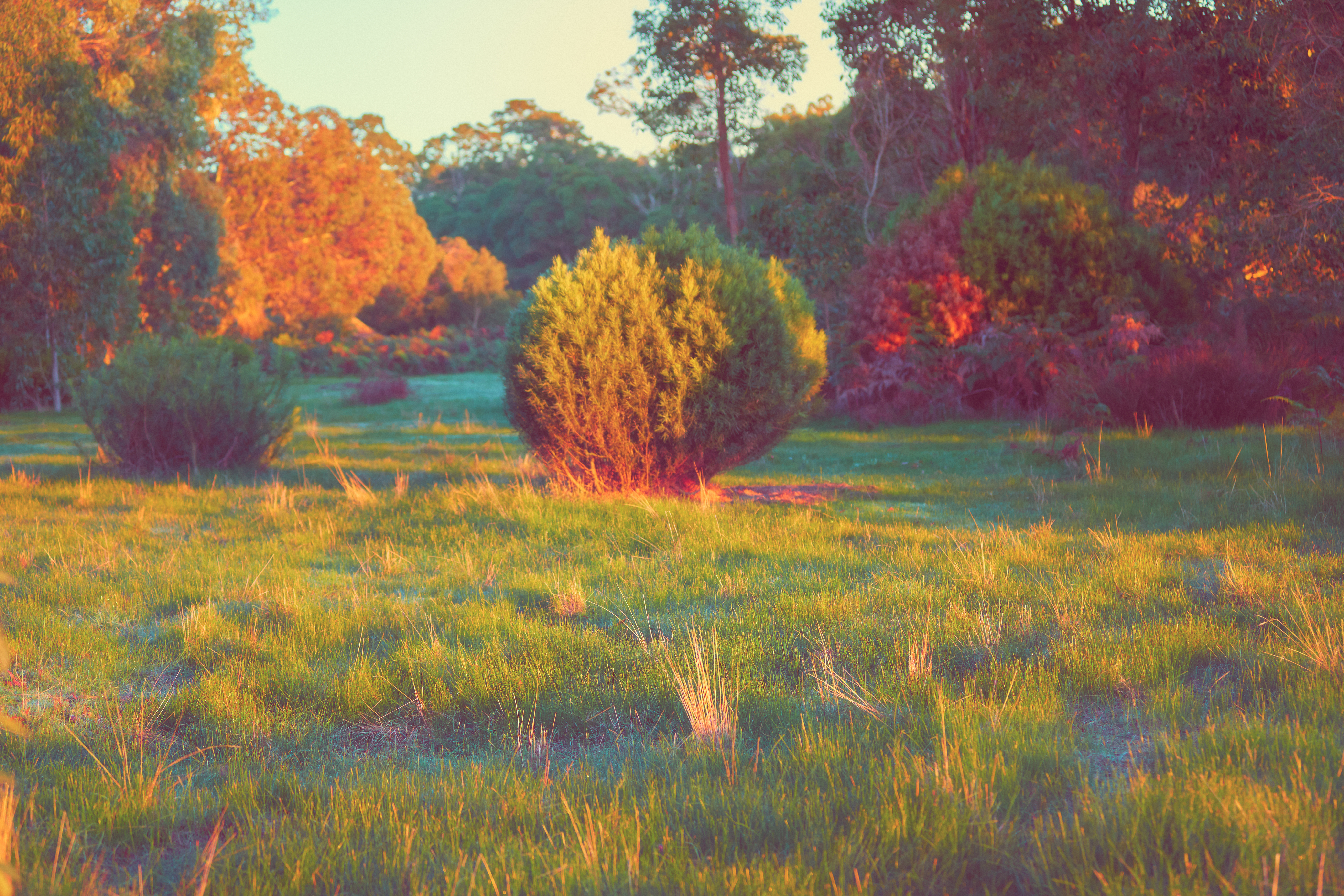 PEACE // RANDOMLY ACCESSED MEMORIES 01