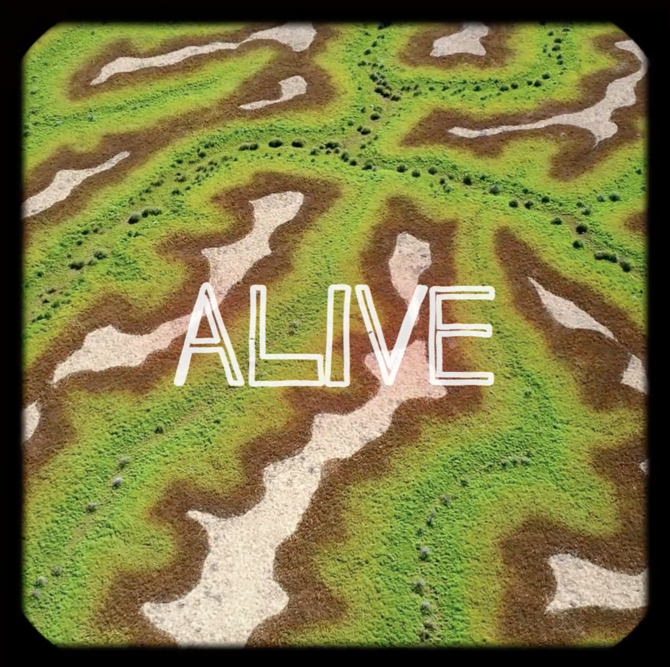 Alive