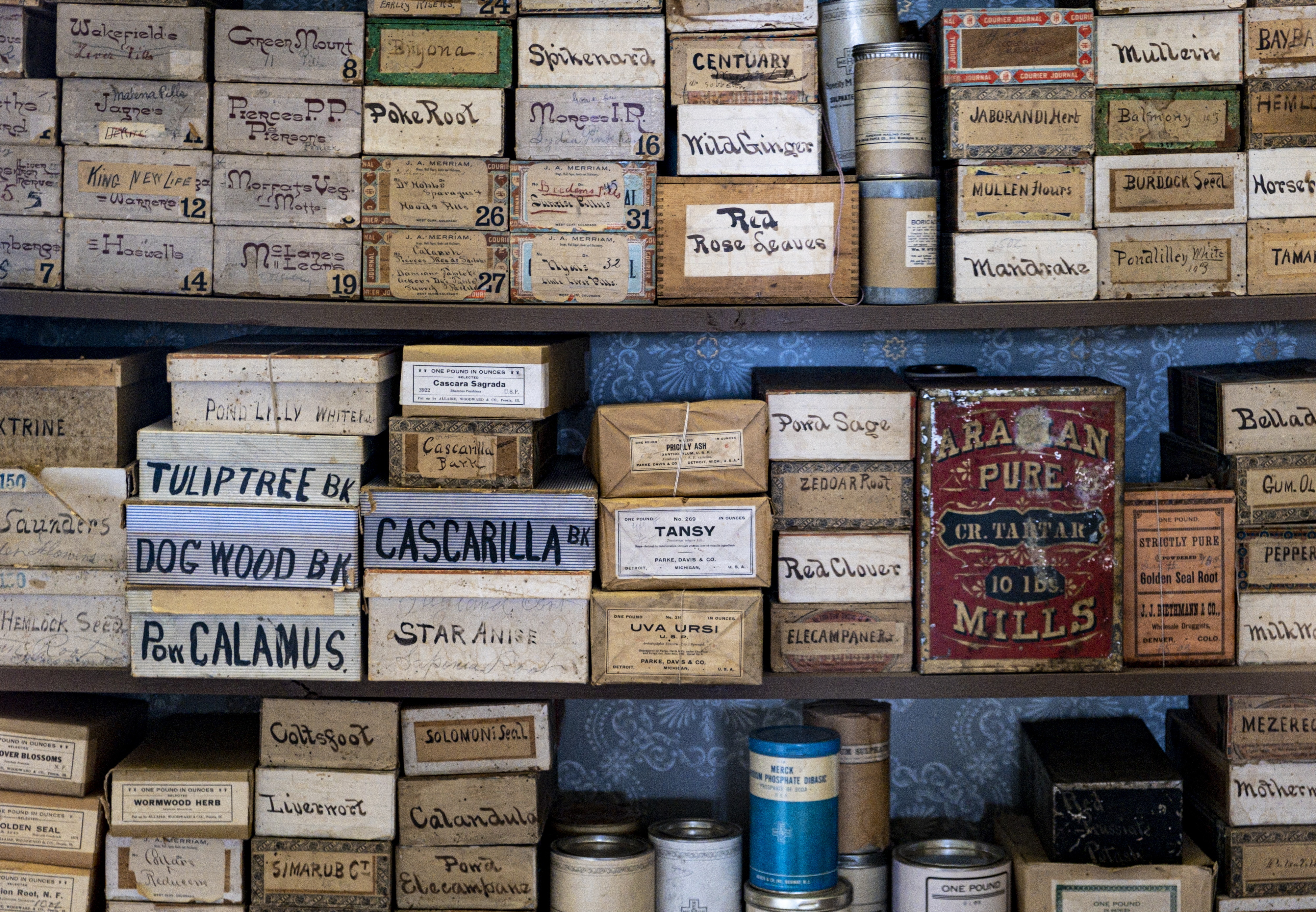 Mountain Medicinals  #14/20