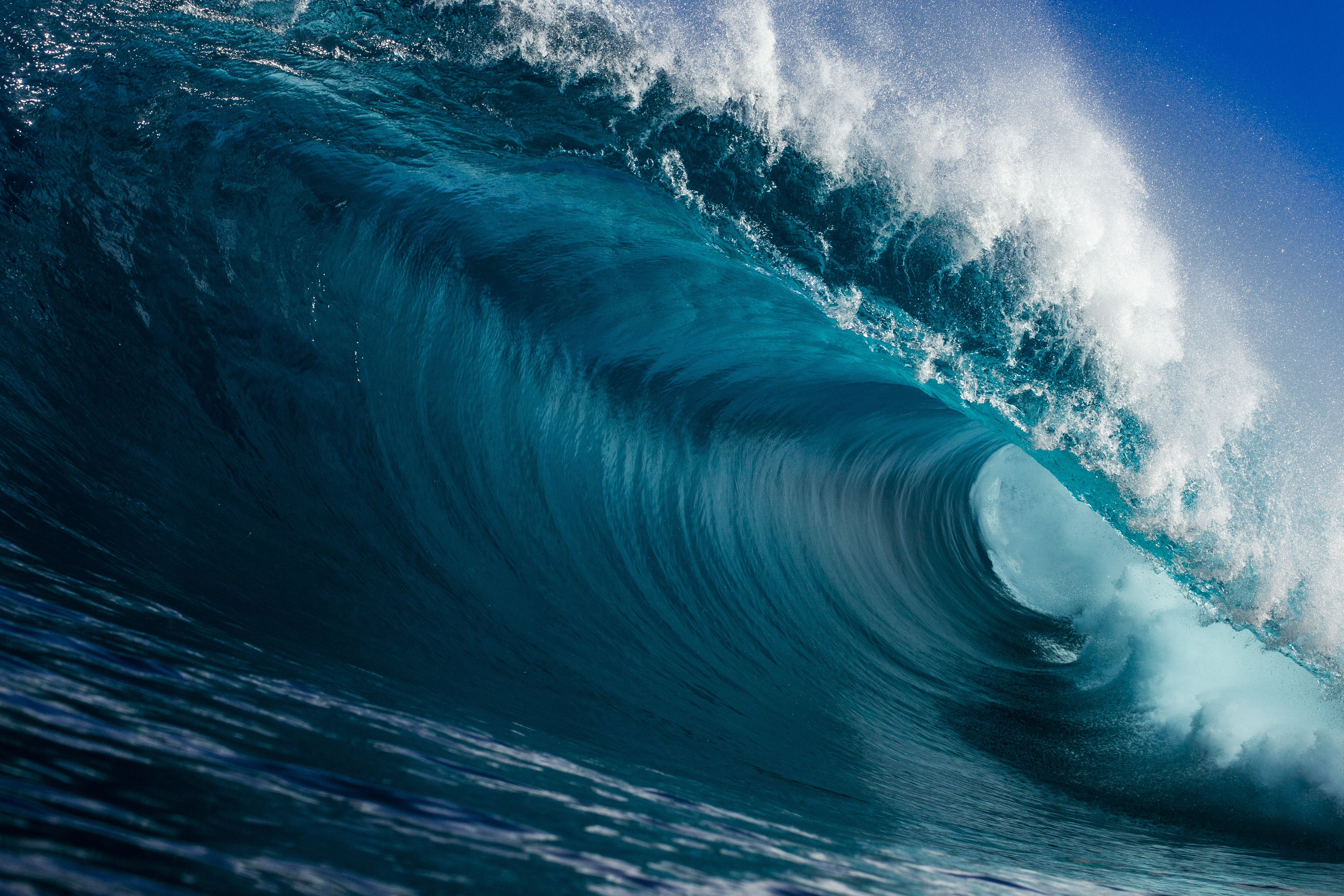 Southern Blue #17/34