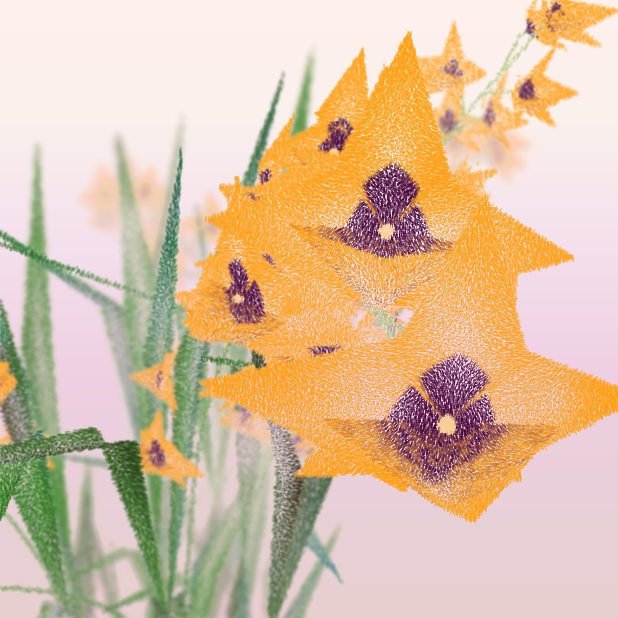 Cattleya #1
