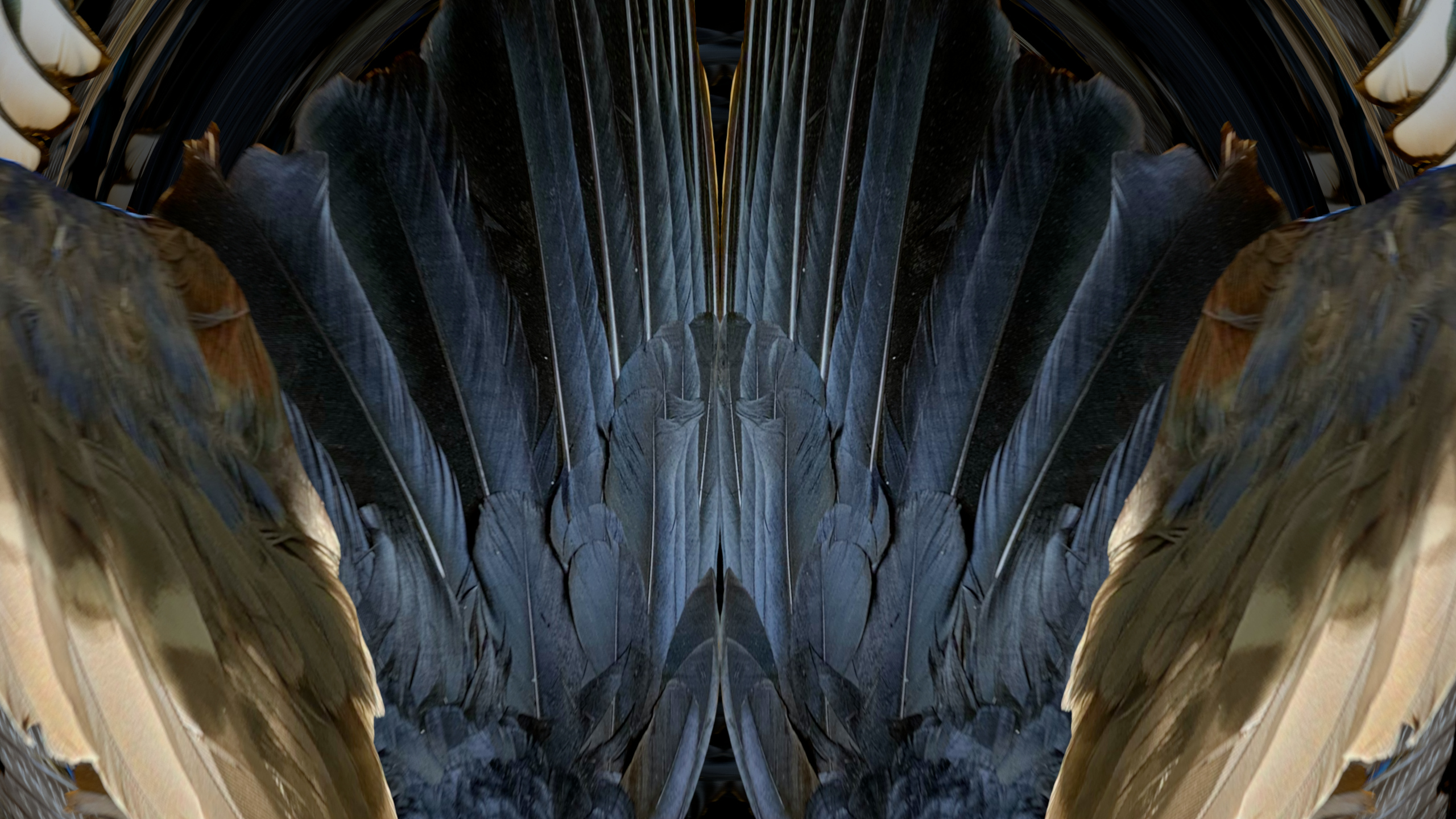 Fuga delle Sirene XVII