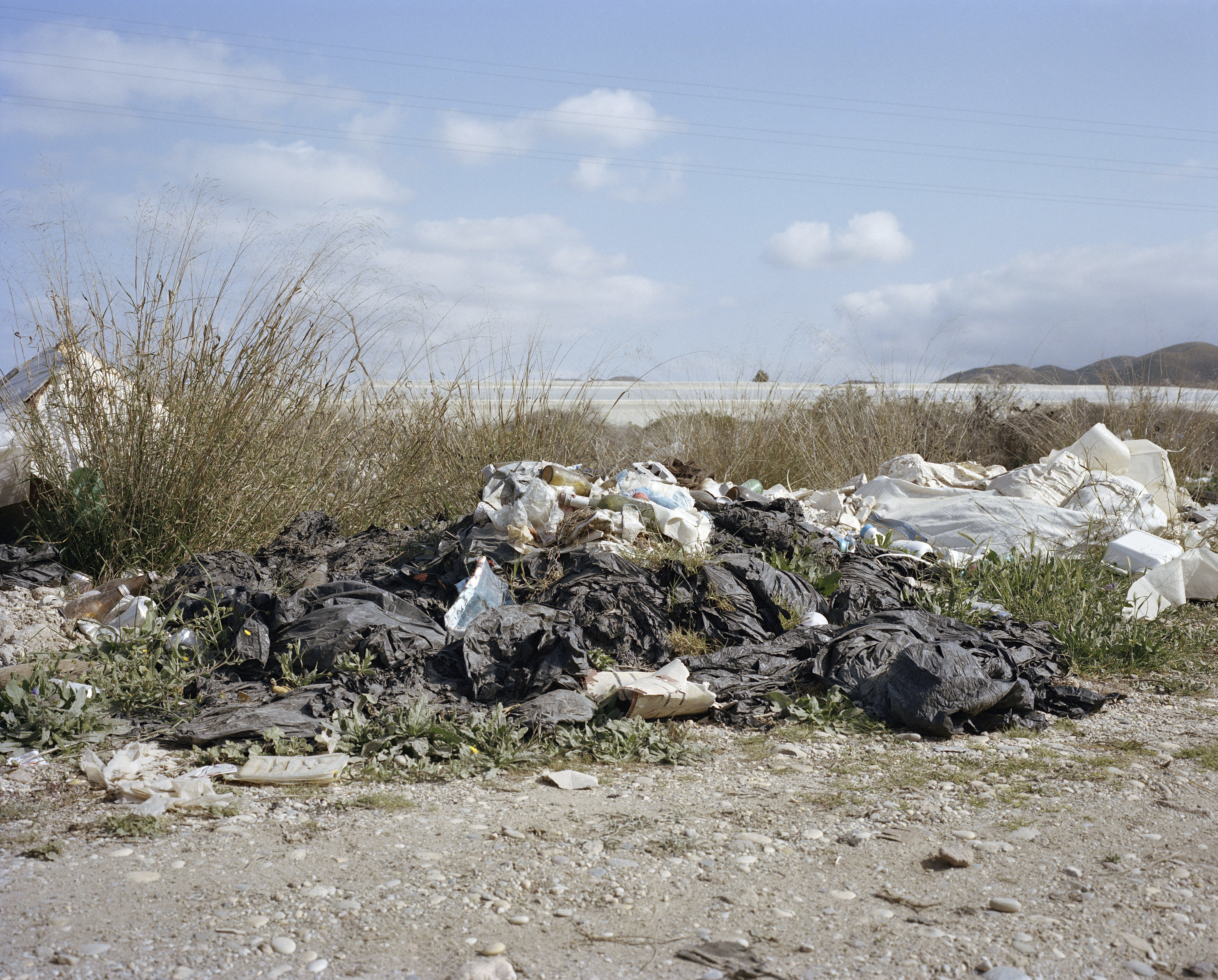 Agony in the Garden #13 by Luá Ribeira