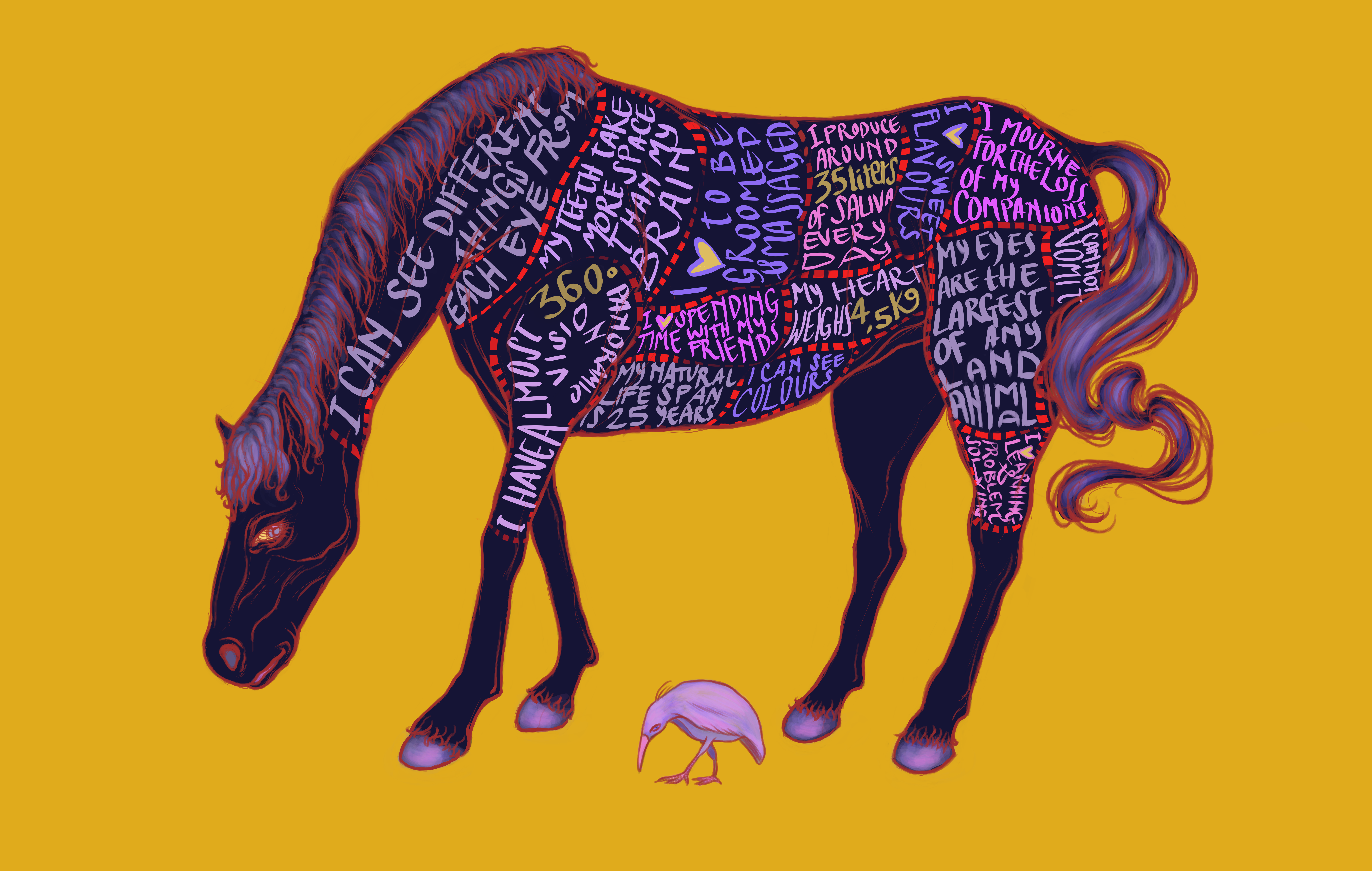 Horse
