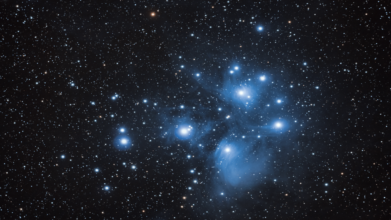 STAR #79