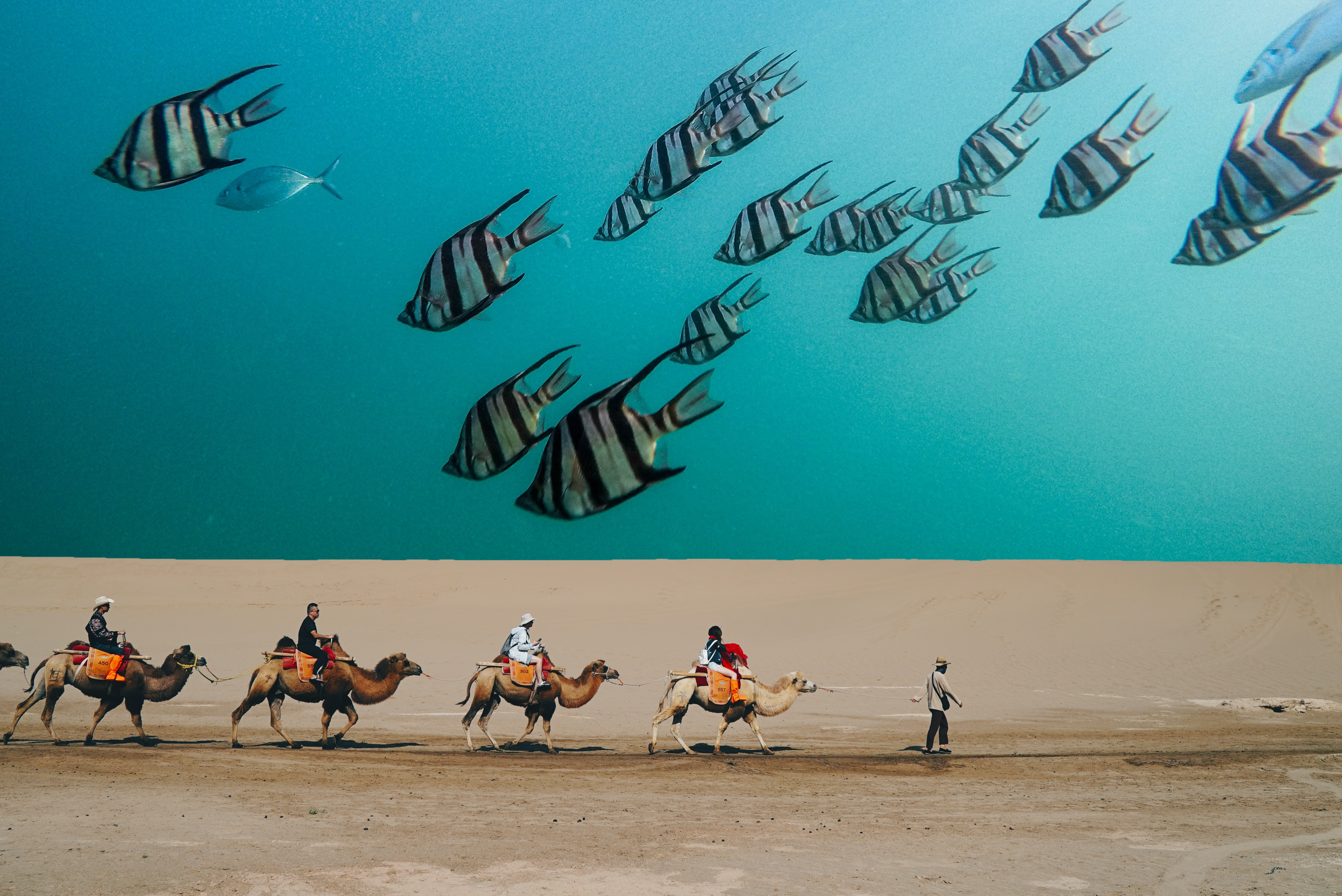 Desert Aquarium