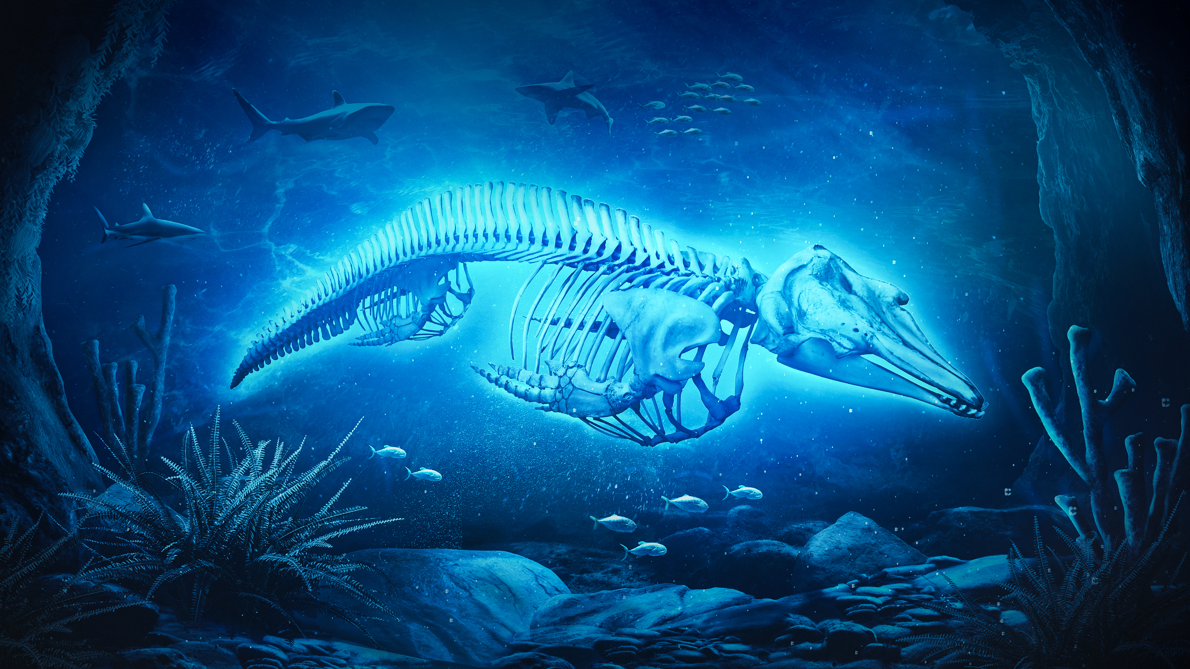 Illuminating Giant 8/10