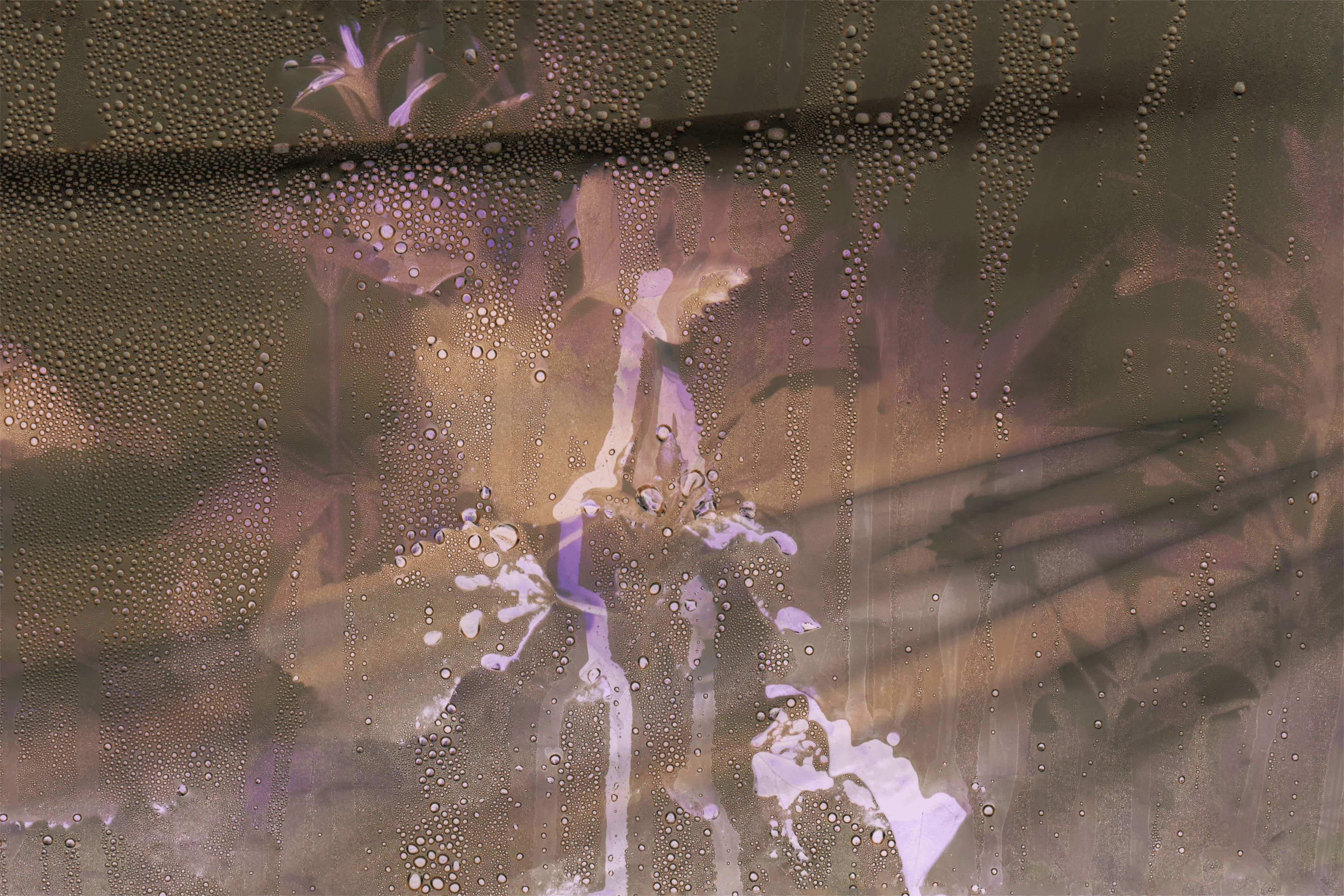 #46 Under Protection