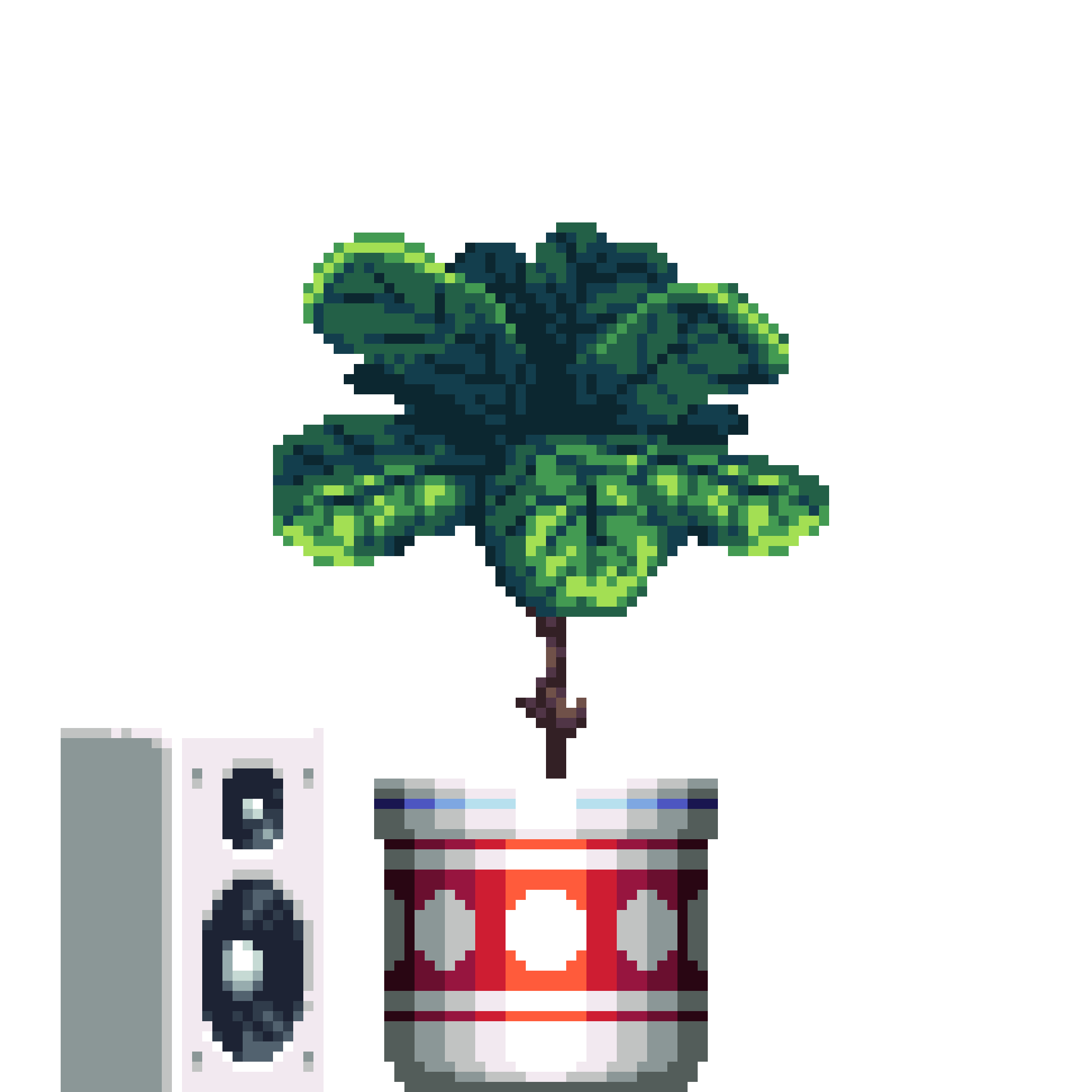 Fiddle-Leaf Fig in Large Premium Pattern pot with Speaker