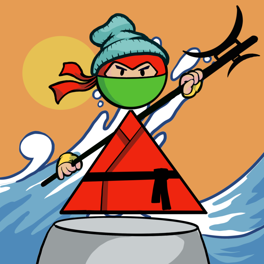 Shape Ninjas #1304
