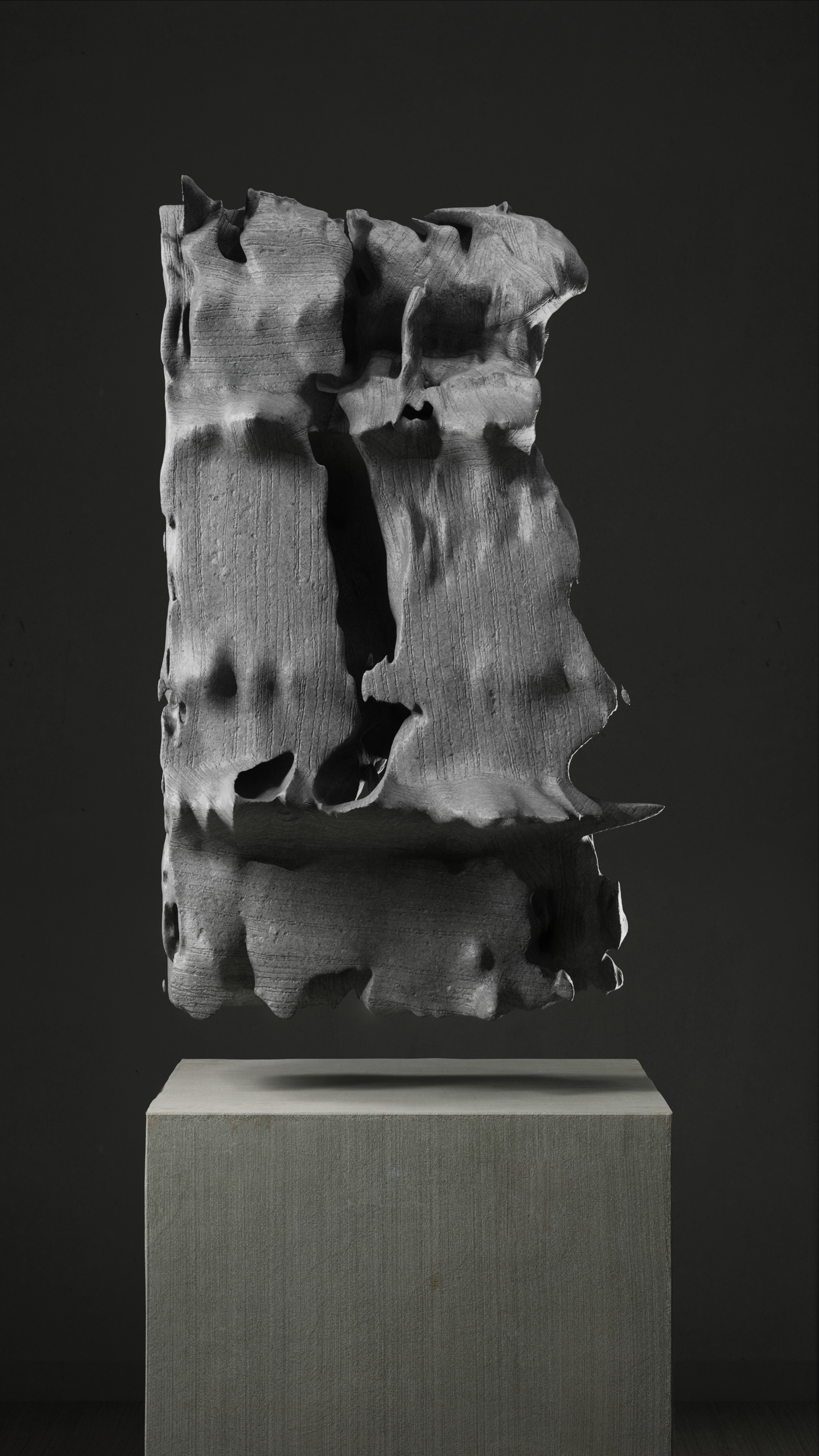 ULTRASOUND DATA SCULPTURES #30