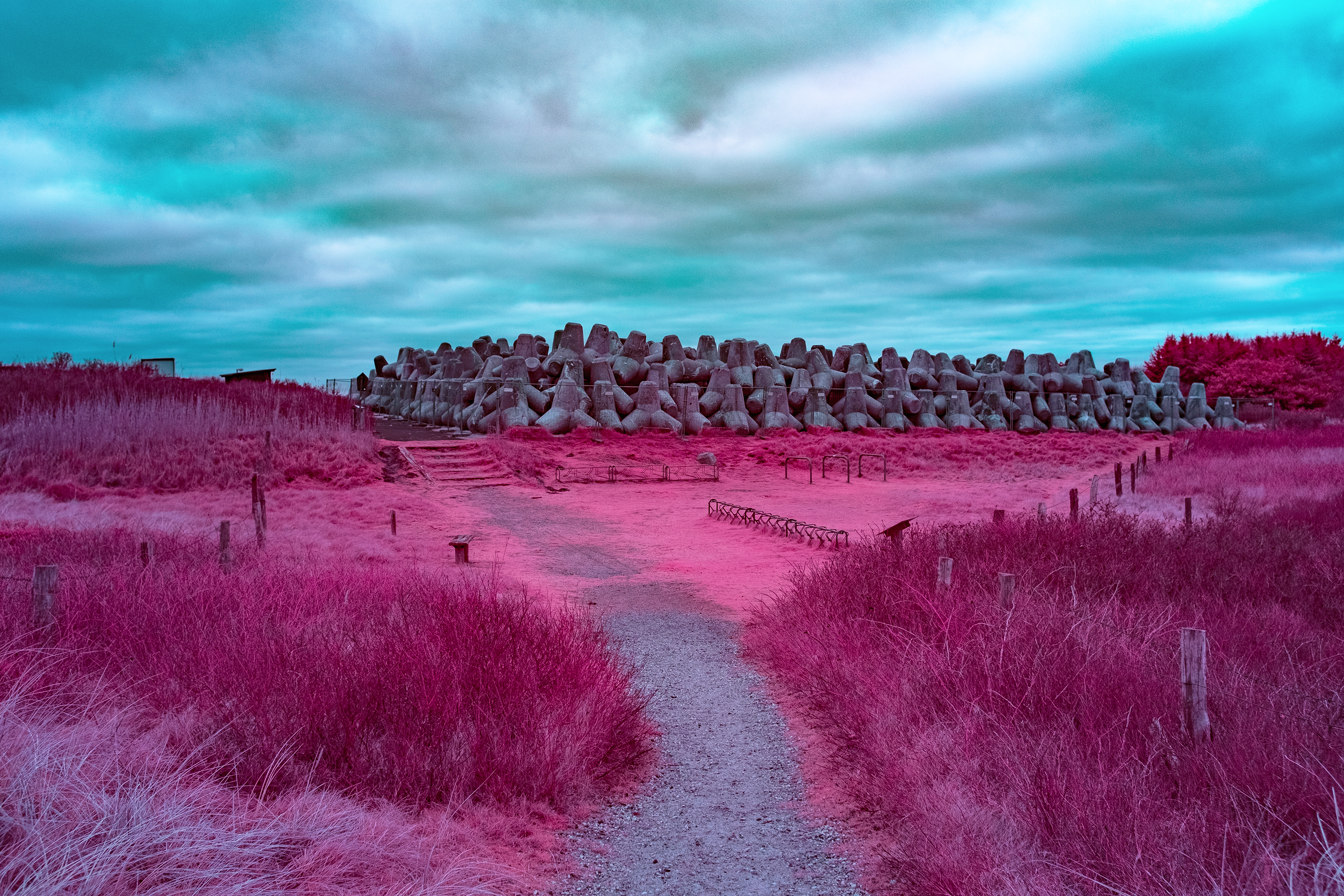 Tetrapods on the island of Sylt